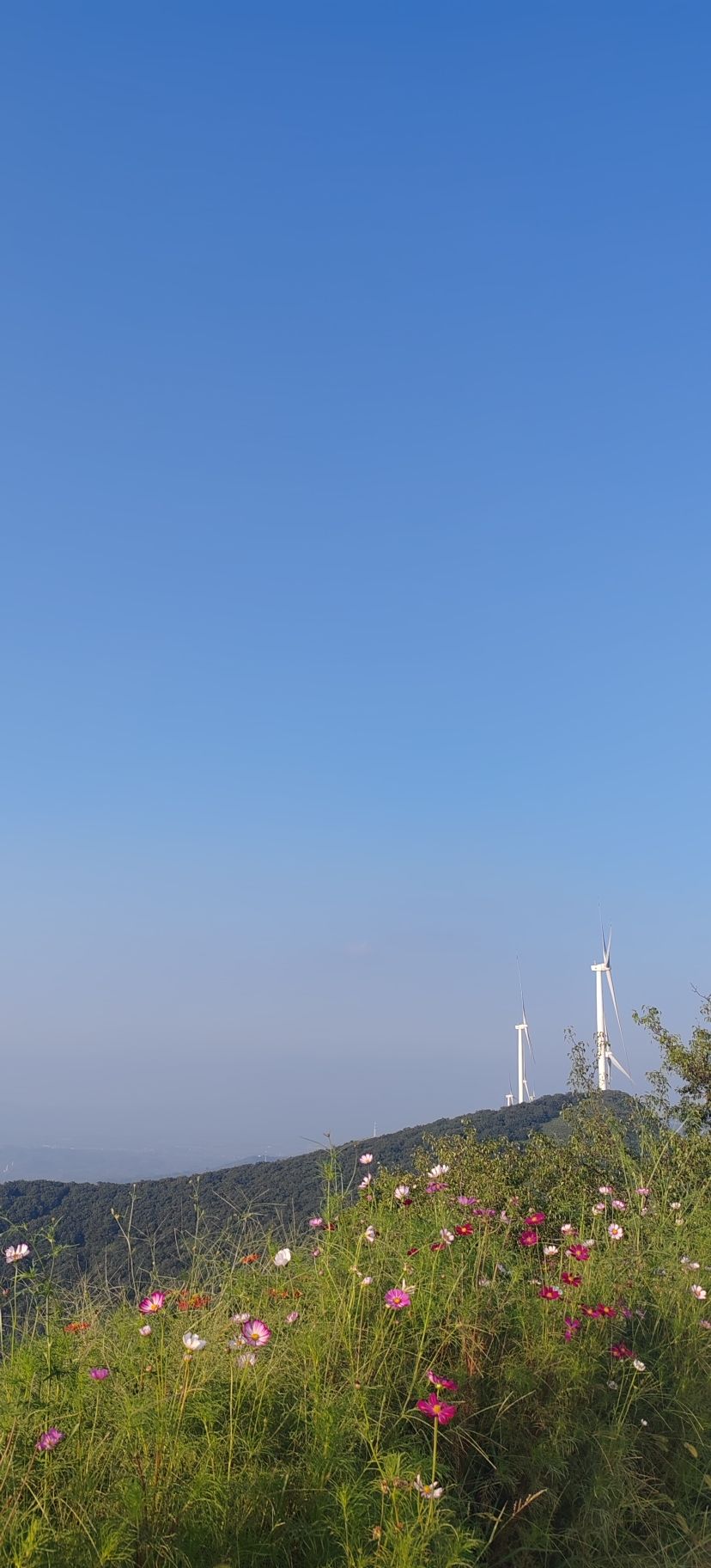 娘娘山森林公园旅行图片 3
