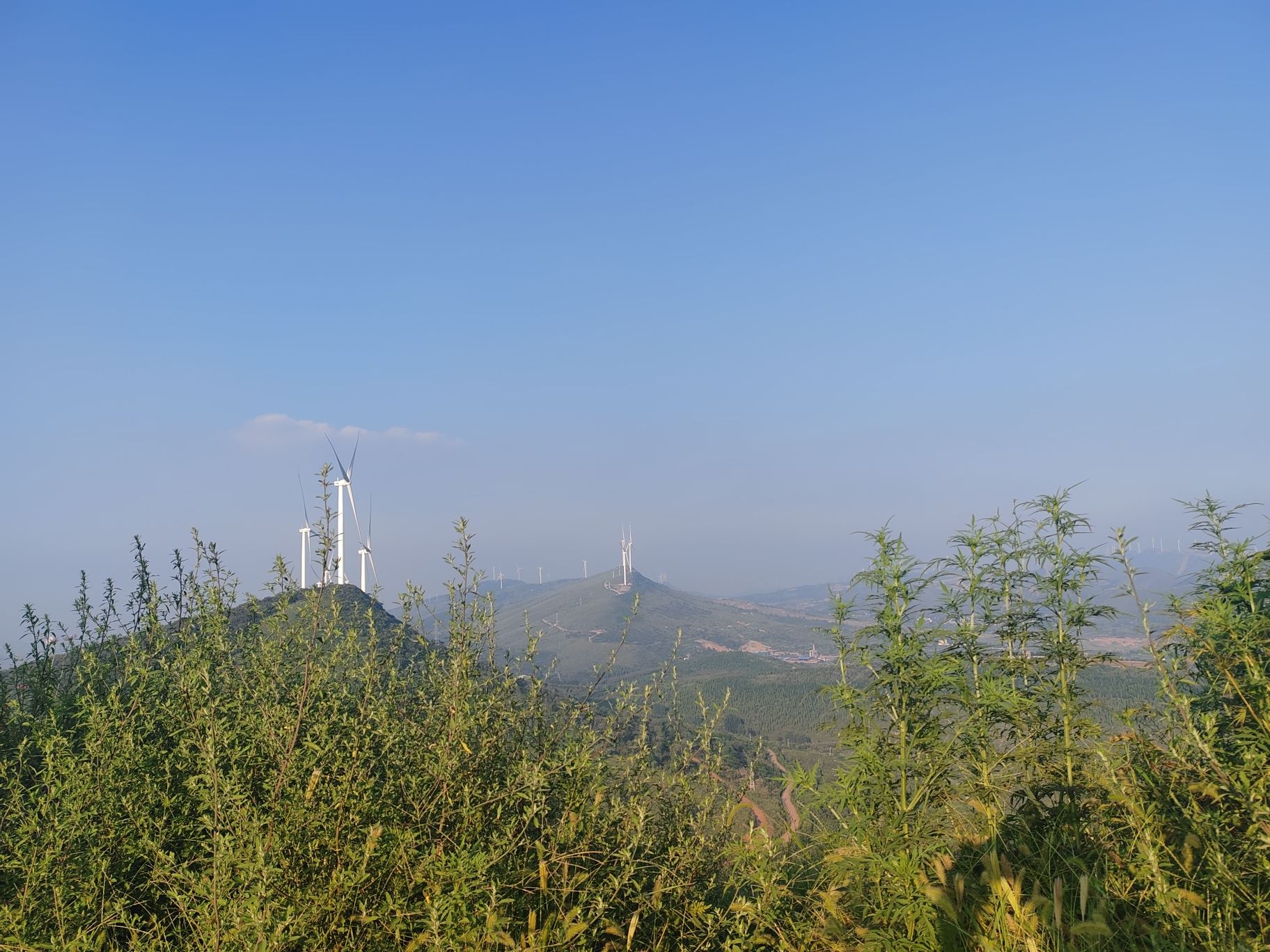 娘娘山森林公园旅行图片 1