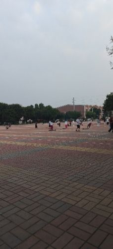 新世纪广场旅行图片 2