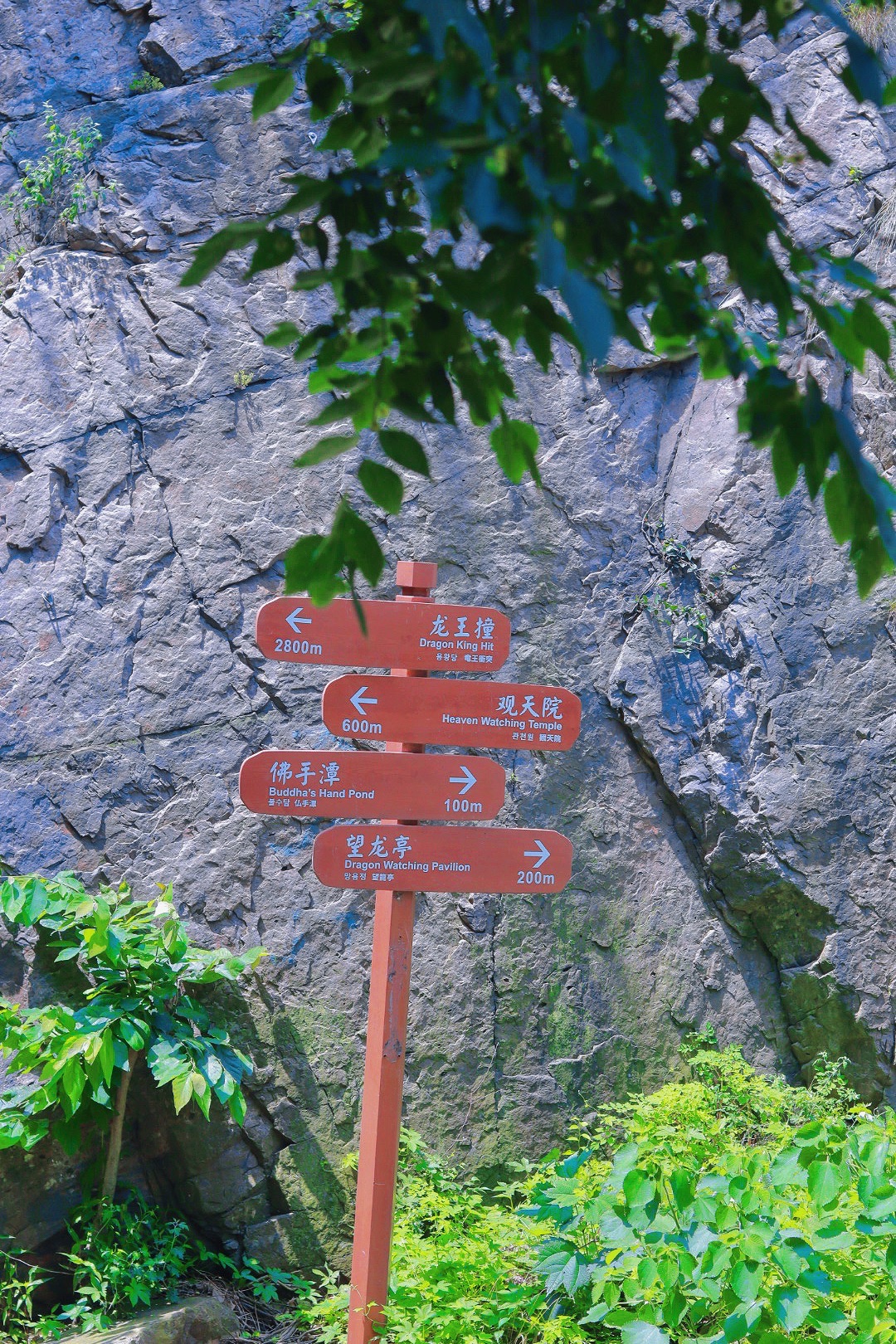 祥龙谷景区旅行图片 2