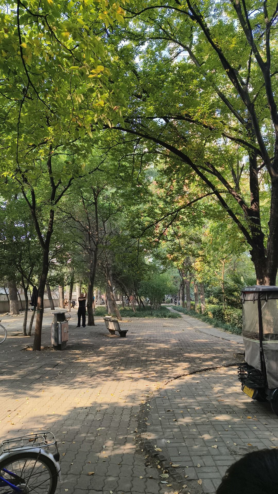 建西游园旅行图片 3