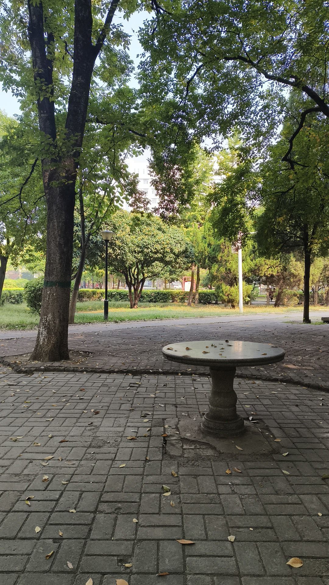 建西游园旅行图片 1