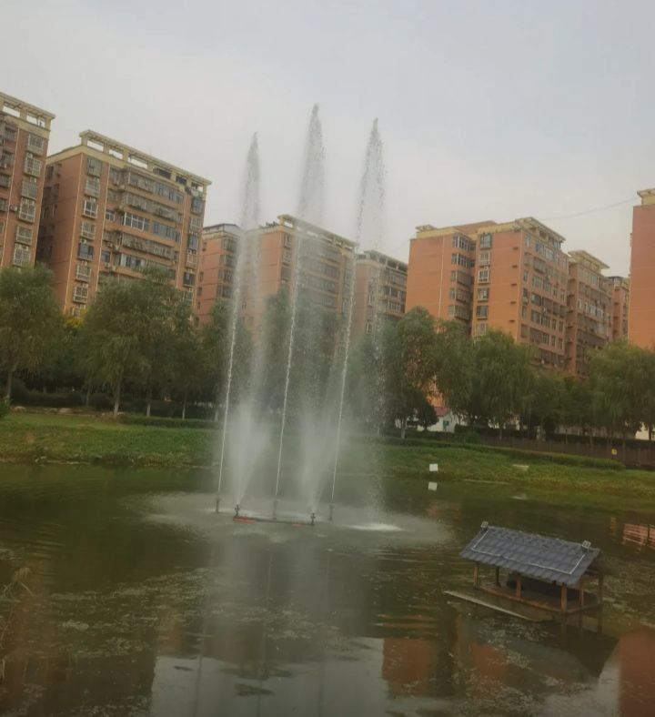 鲁山县中心公园旅行图片 3