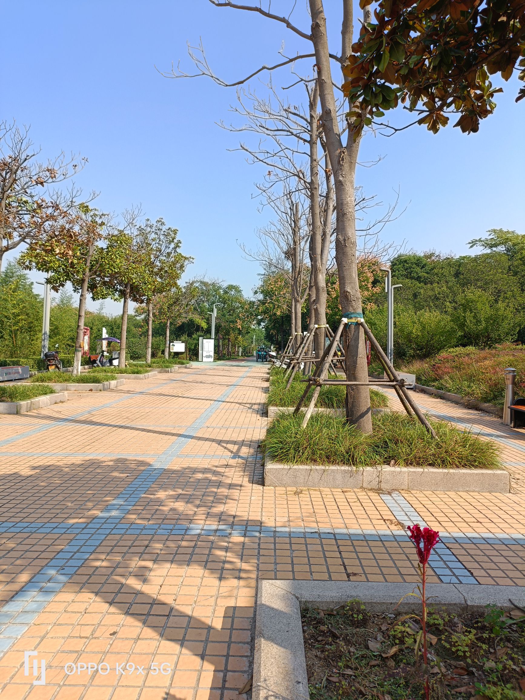 祥云公园旅行图片 3