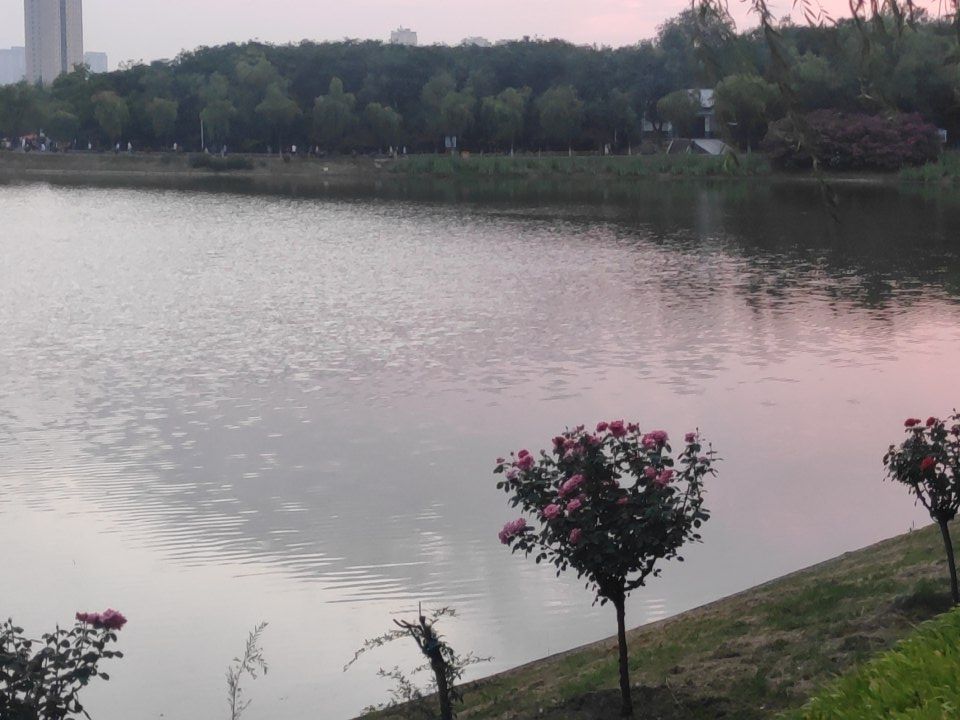 白鹭洲国家城市湿地公园旅行图片 3