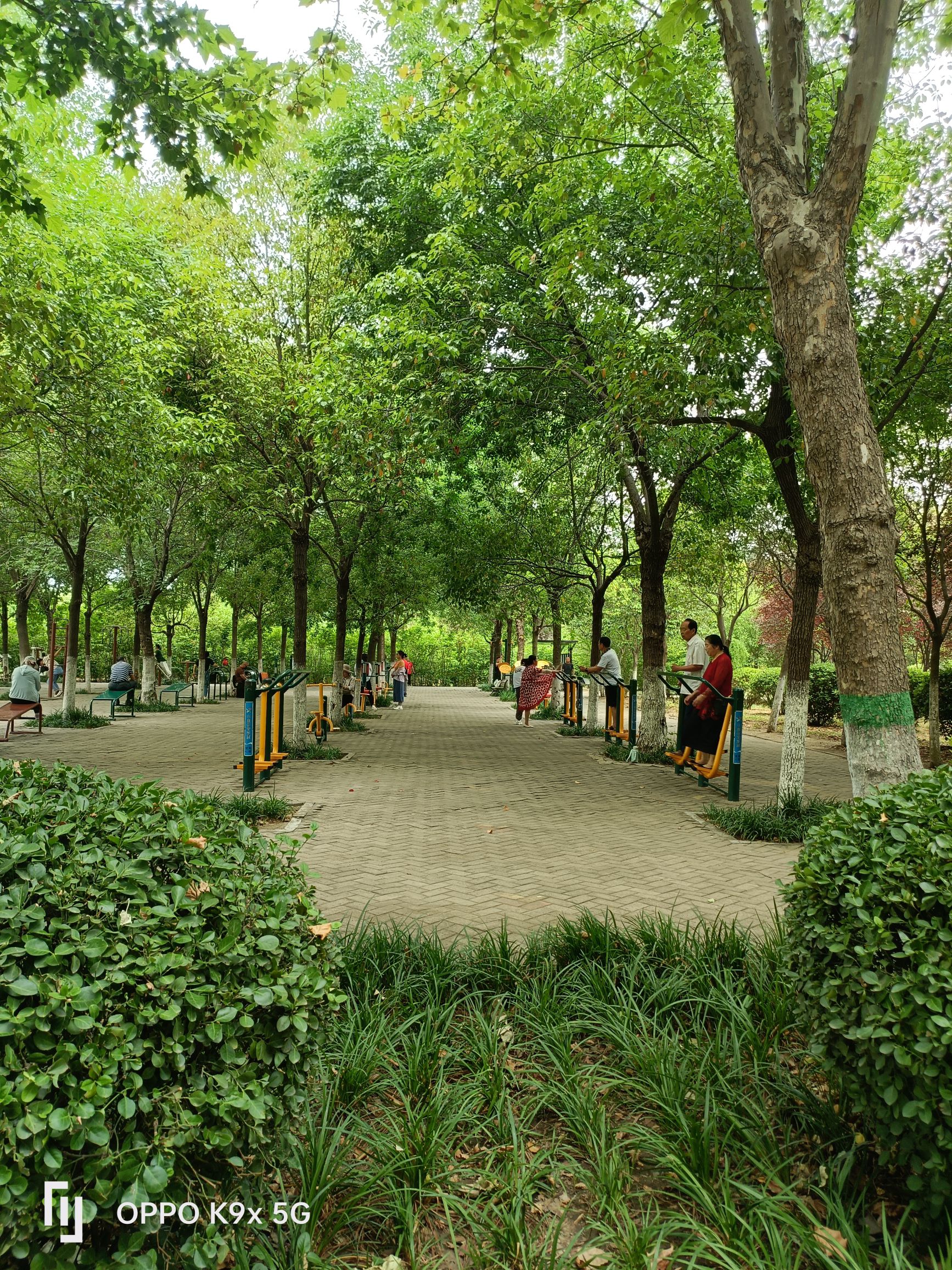白鹭洲国家城市湿地公园旅行图片 2