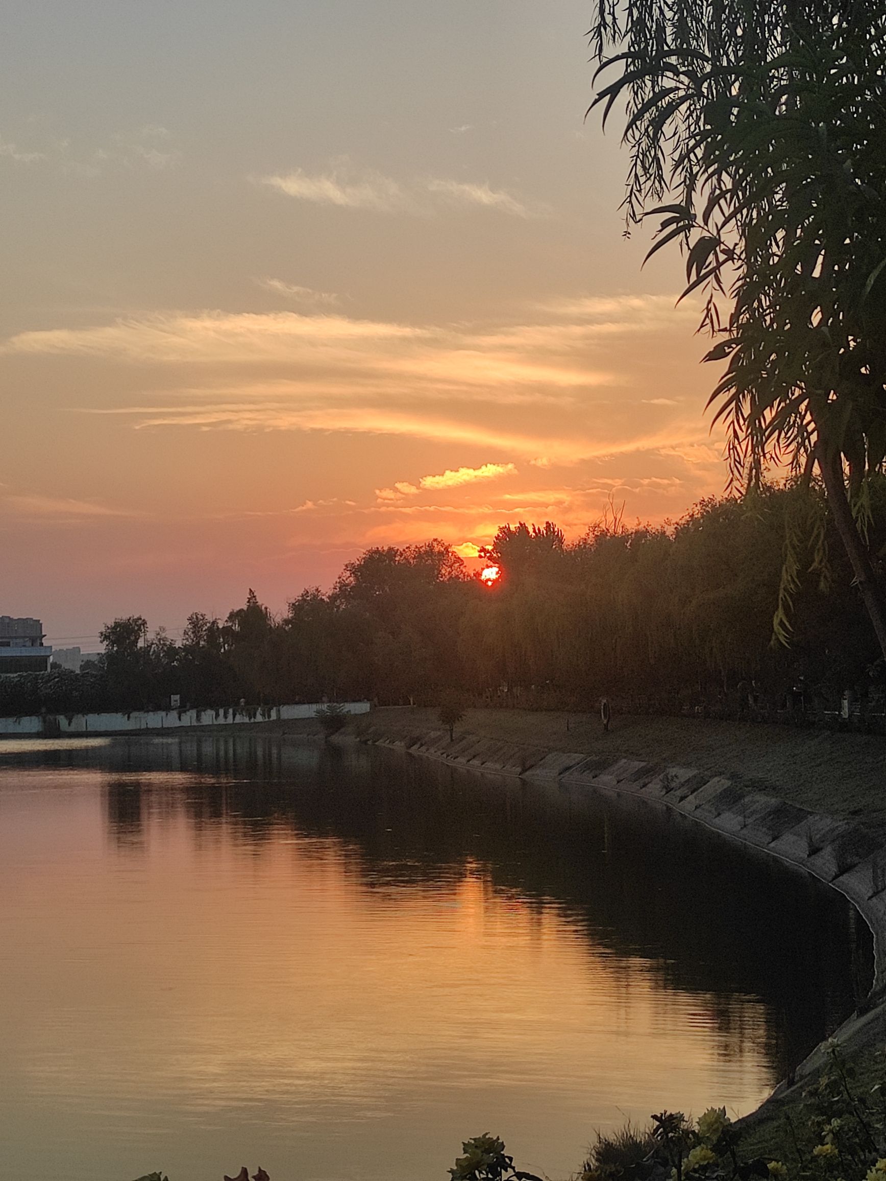 白鹭洲国家城市湿地公园旅行图片 2