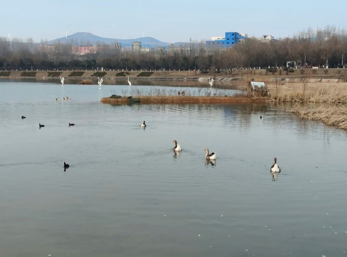 白鹭洲国家城市湿地公园旅行图片 1