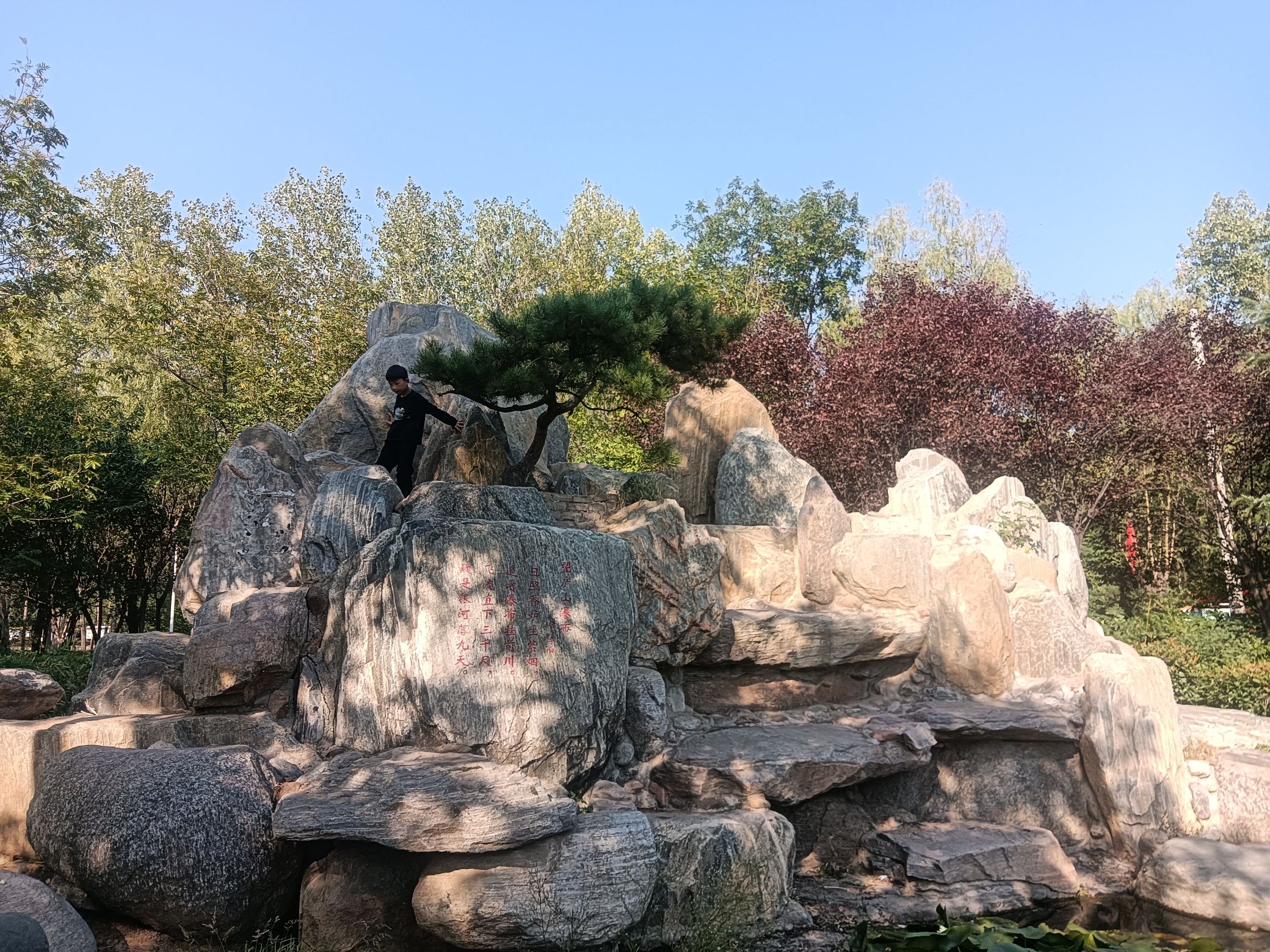 白鹭洲国家城市湿地公园旅行图片 2