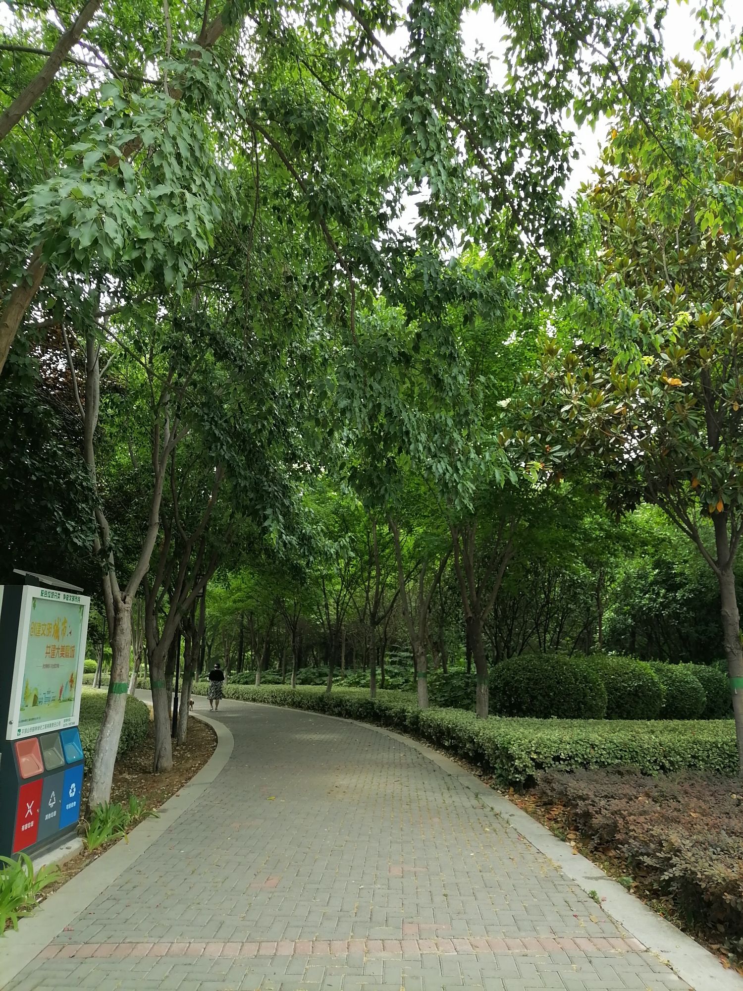 白鹭洲国家城市湿地公园旅行图片 2