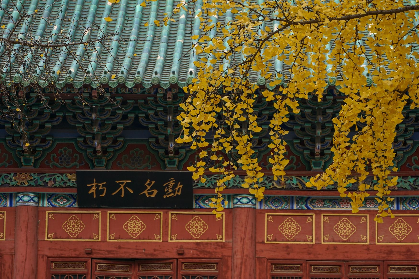 人民公园旅行图片 3