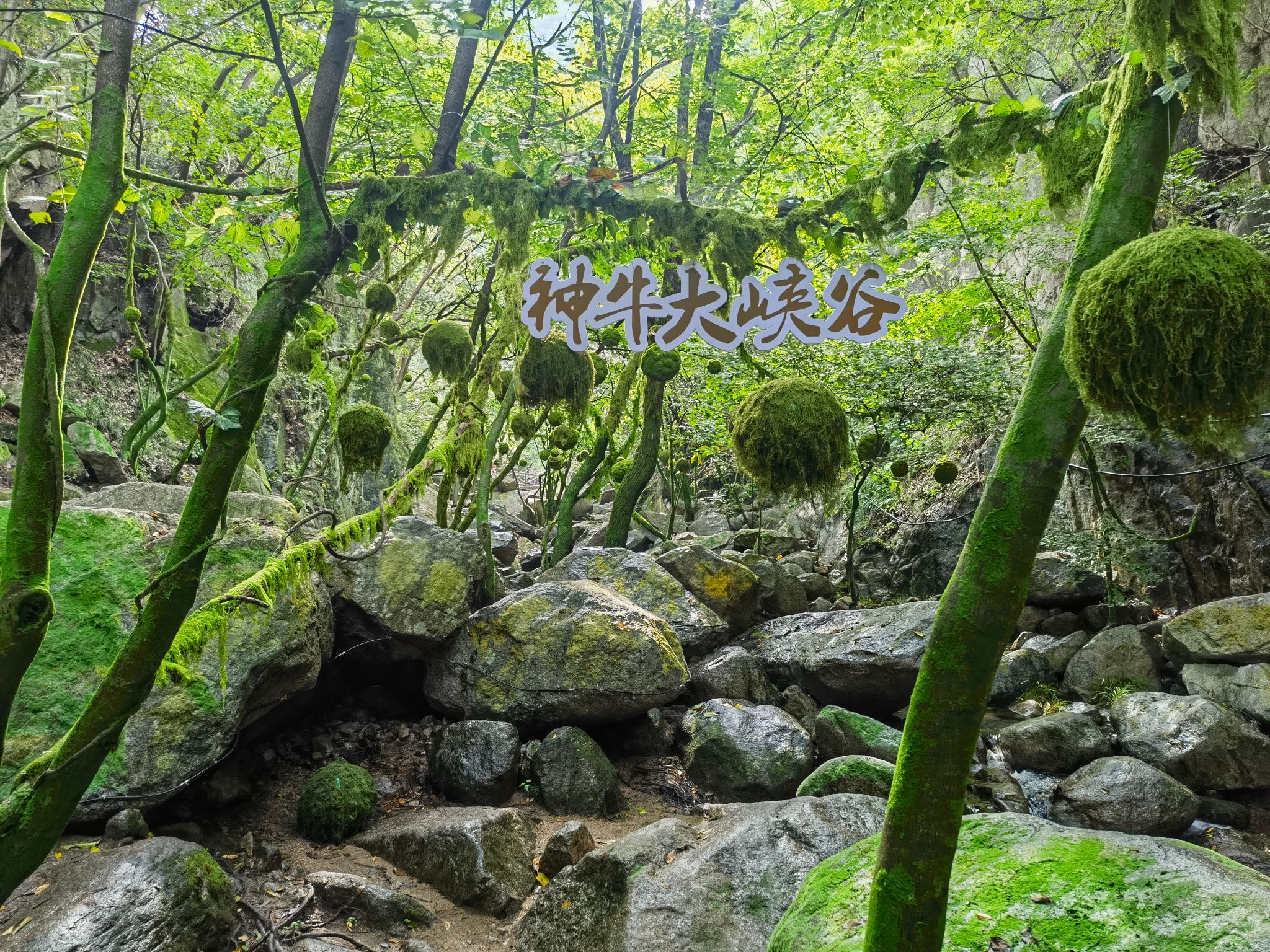 神牛大峡谷旅行图片 2
