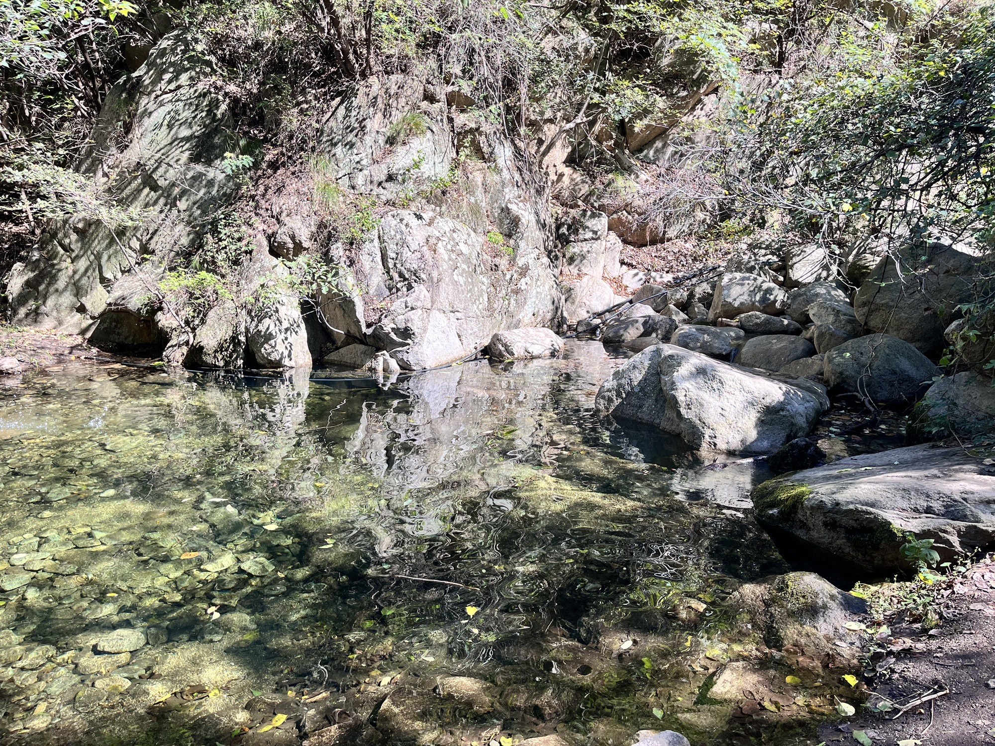 神牛大峡谷旅行图片 2