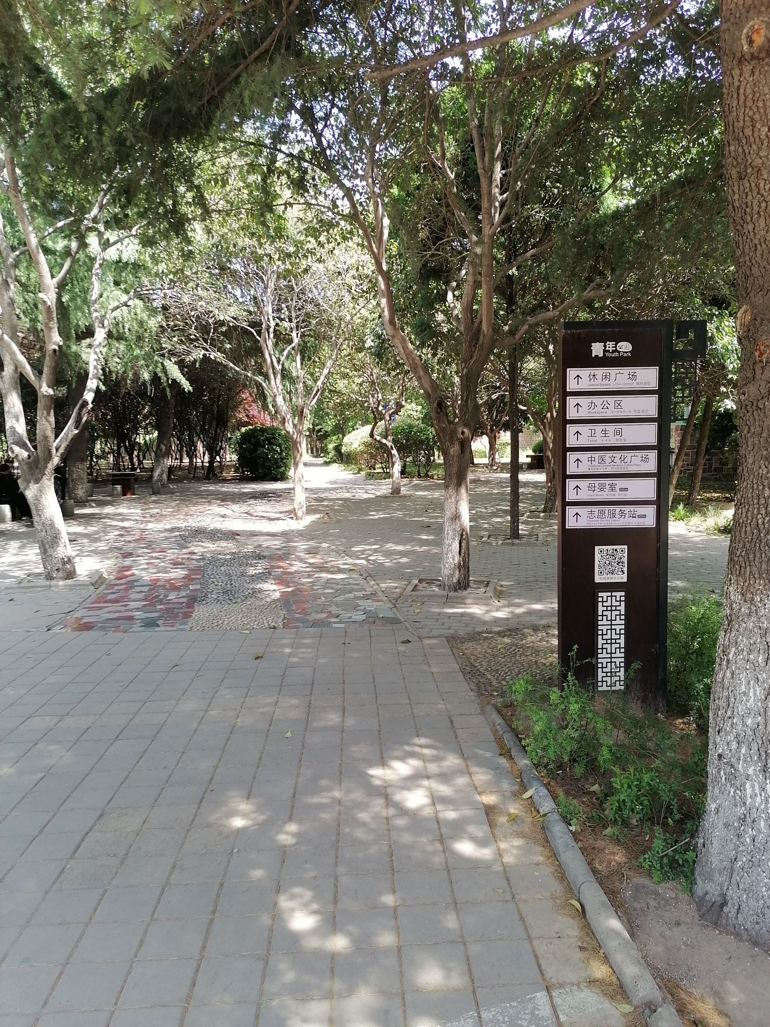 青年公园旅行图片 1