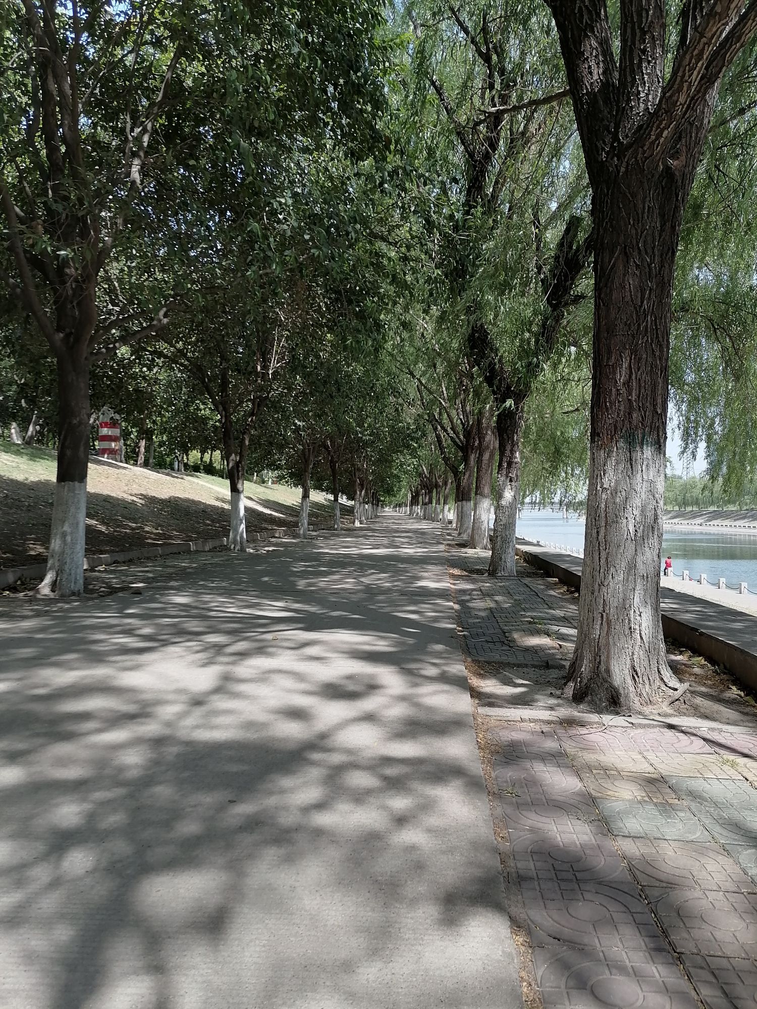 青年公园旅行图片 3