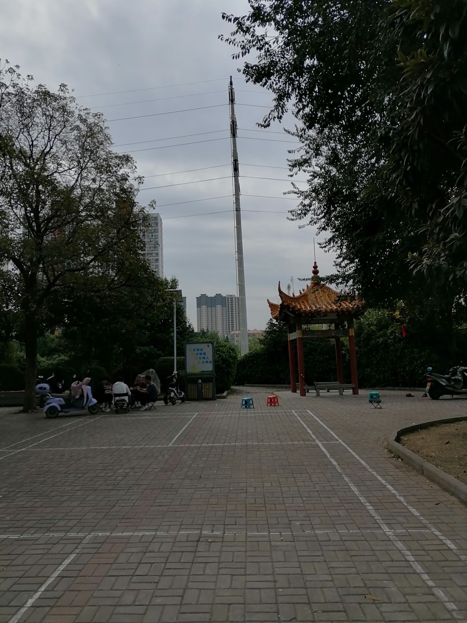 青年公园旅行图片 2