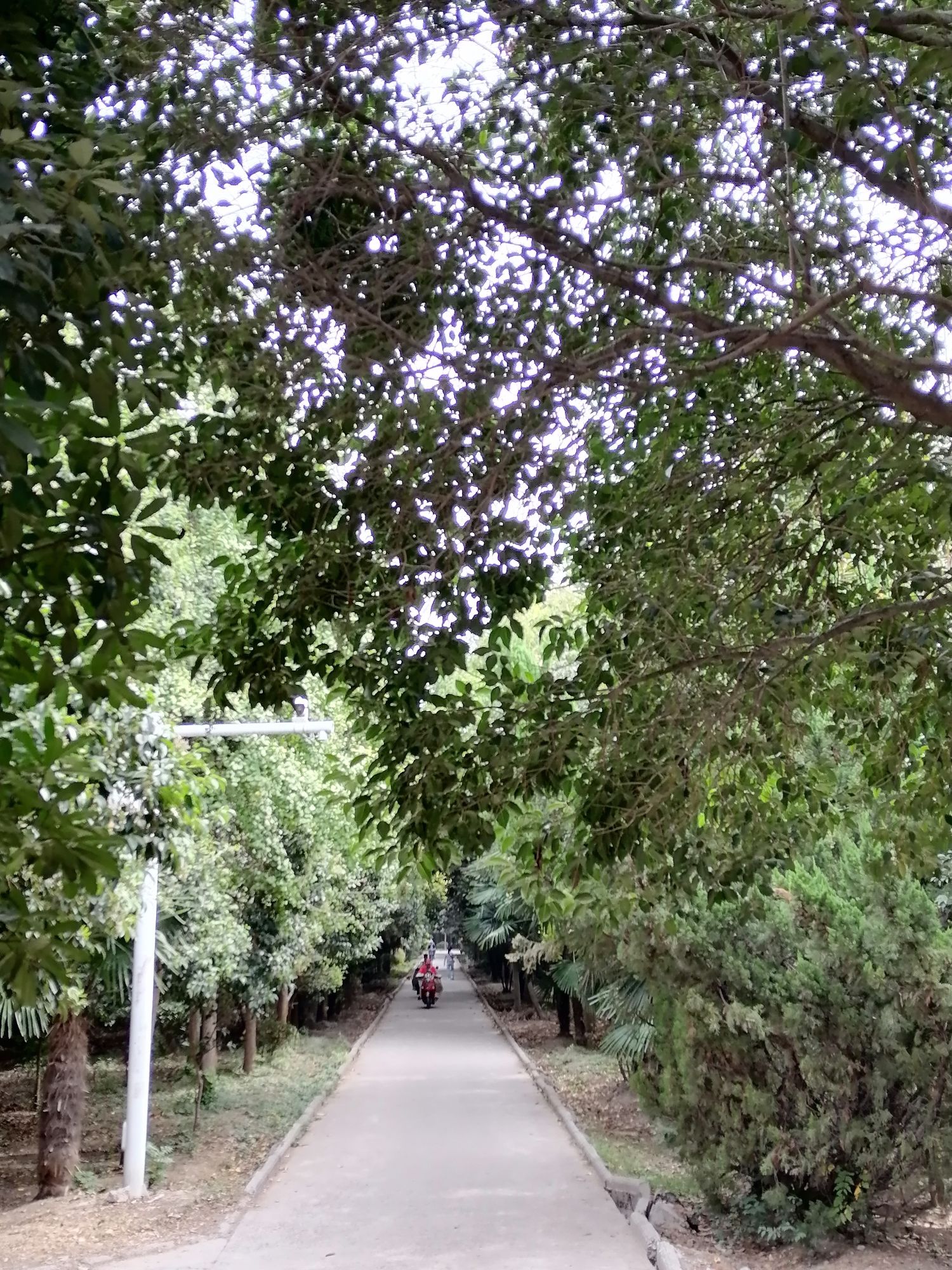青年公园旅行图片 3