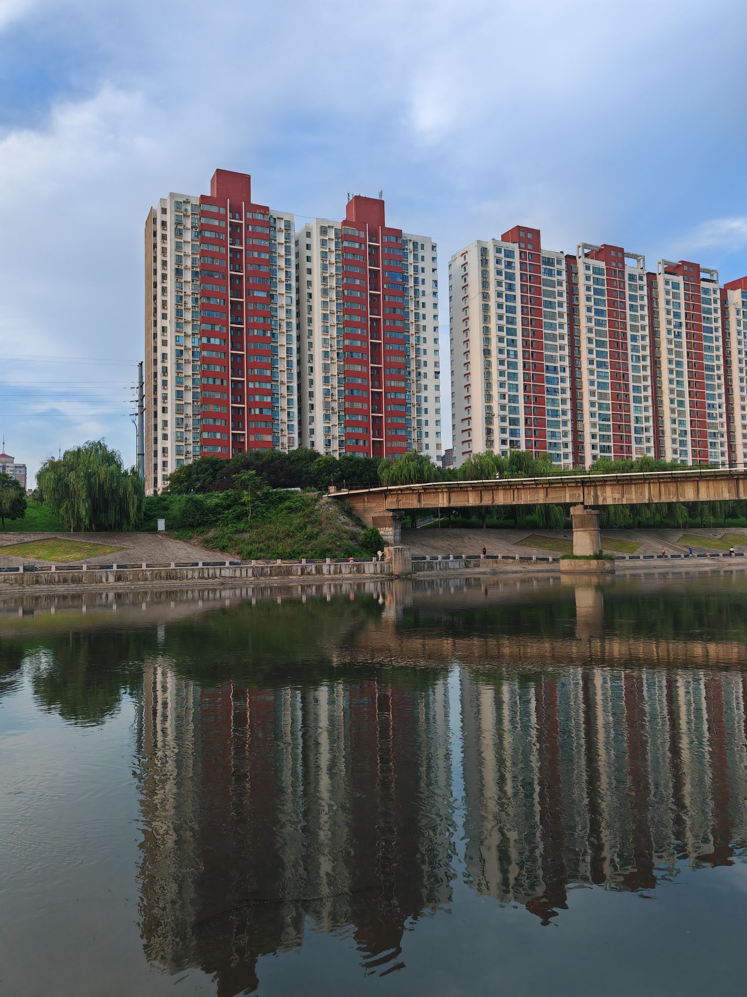 青年公园旅行图片 3