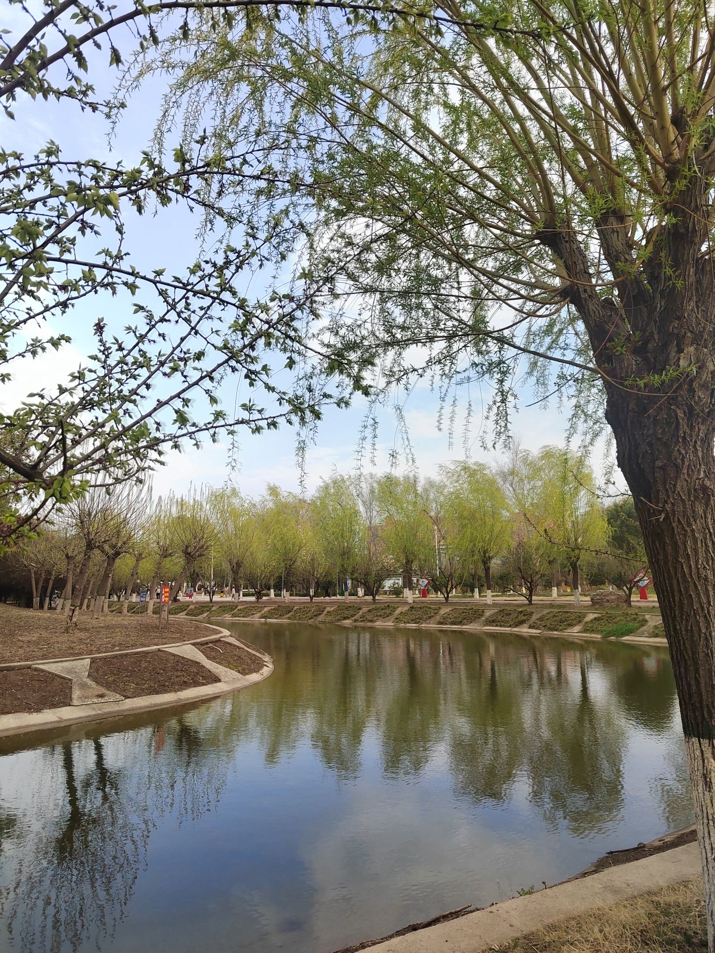 叶县盐都公园旅行图片 2