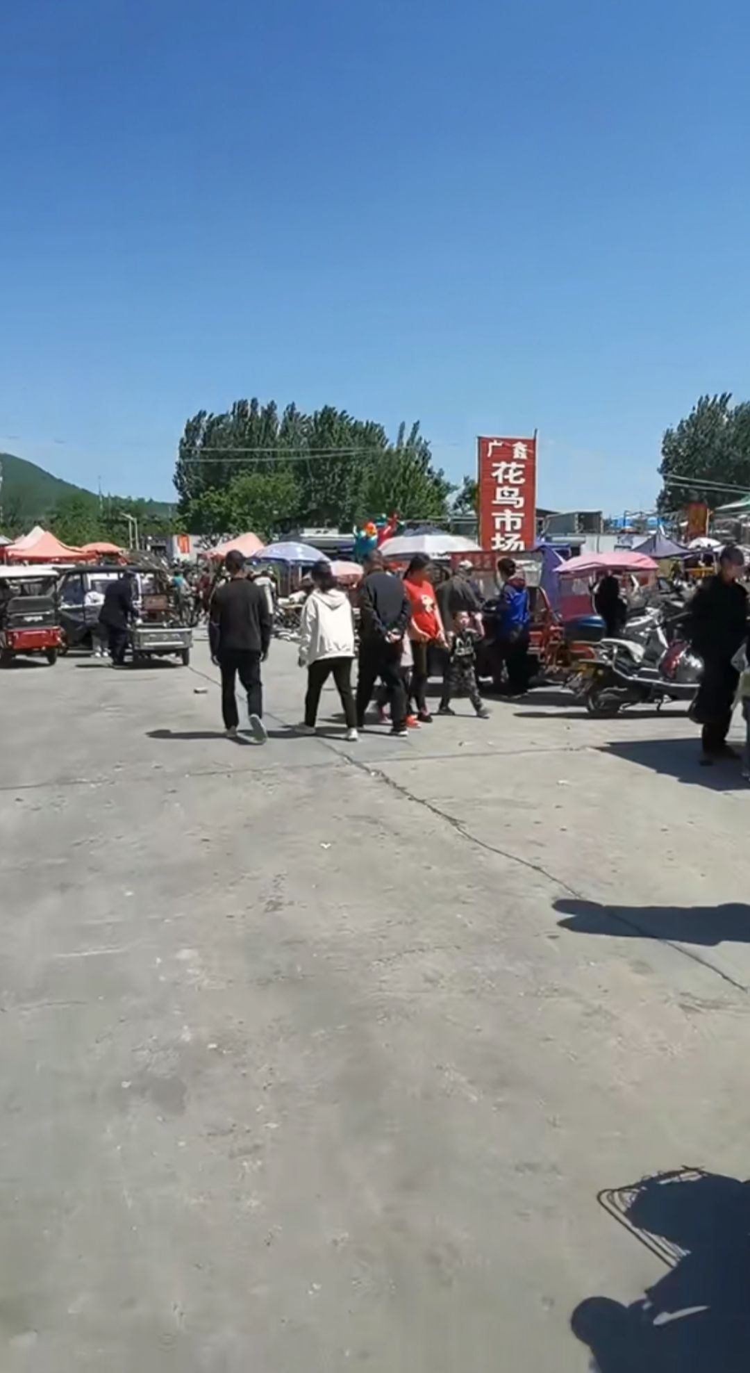 新东建材城