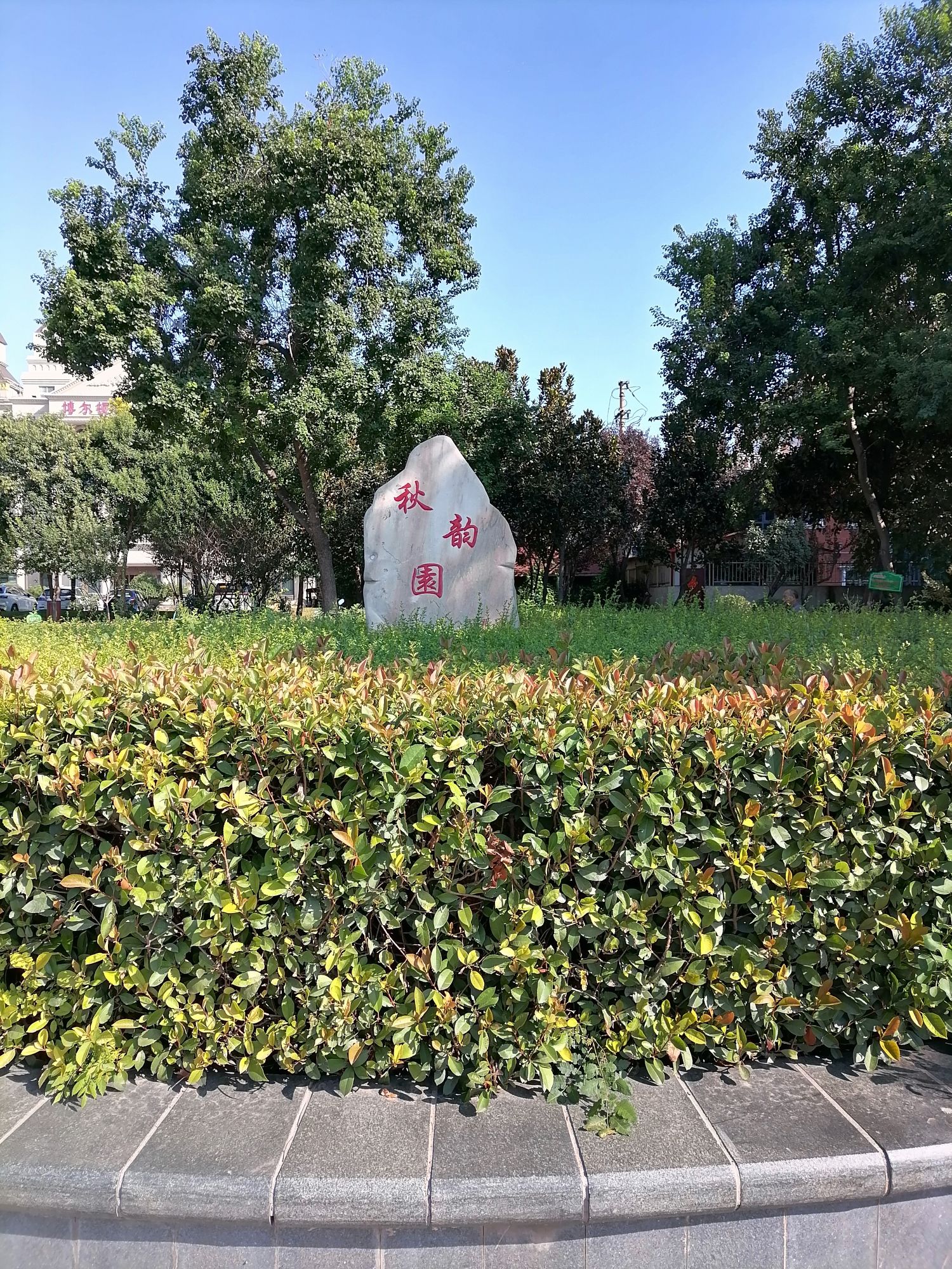 秋韵园旅行图片 1