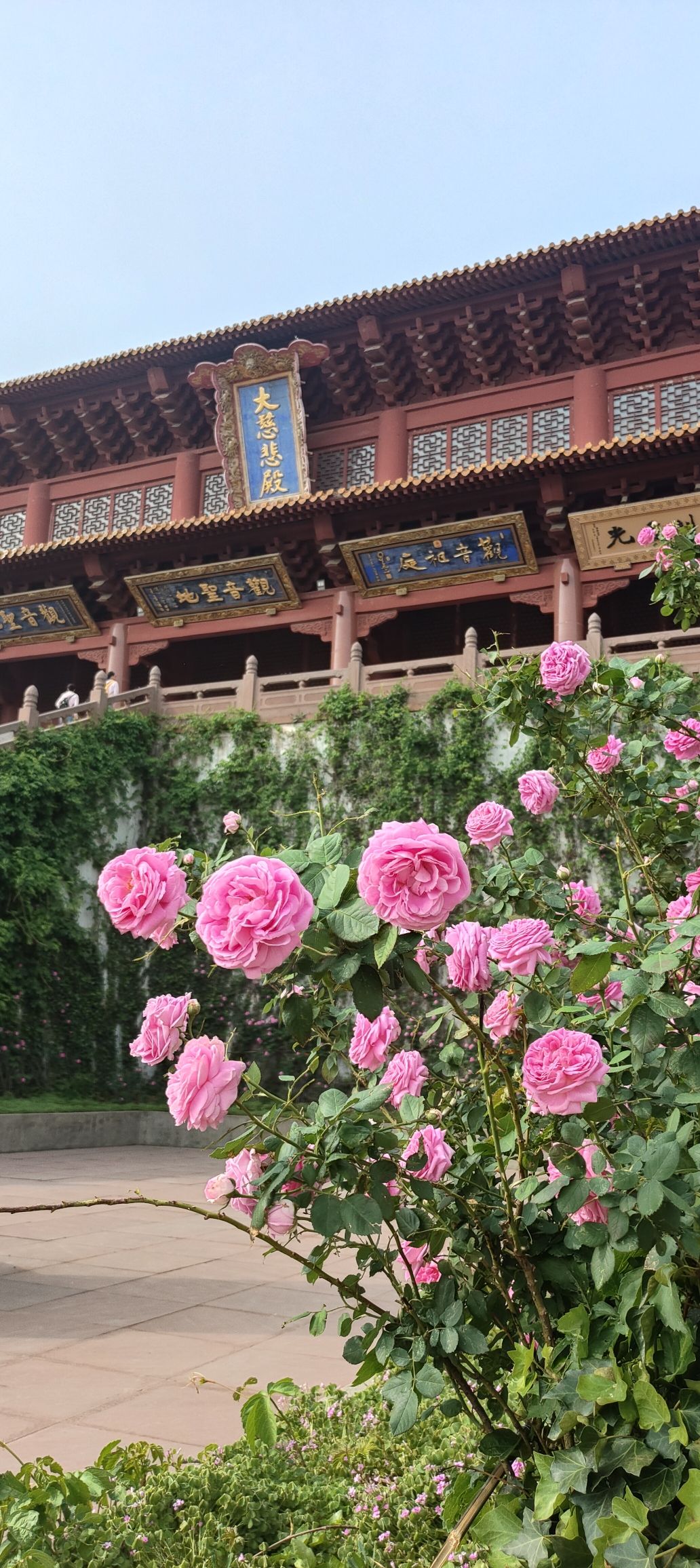 香山寺景区旅行图片 1