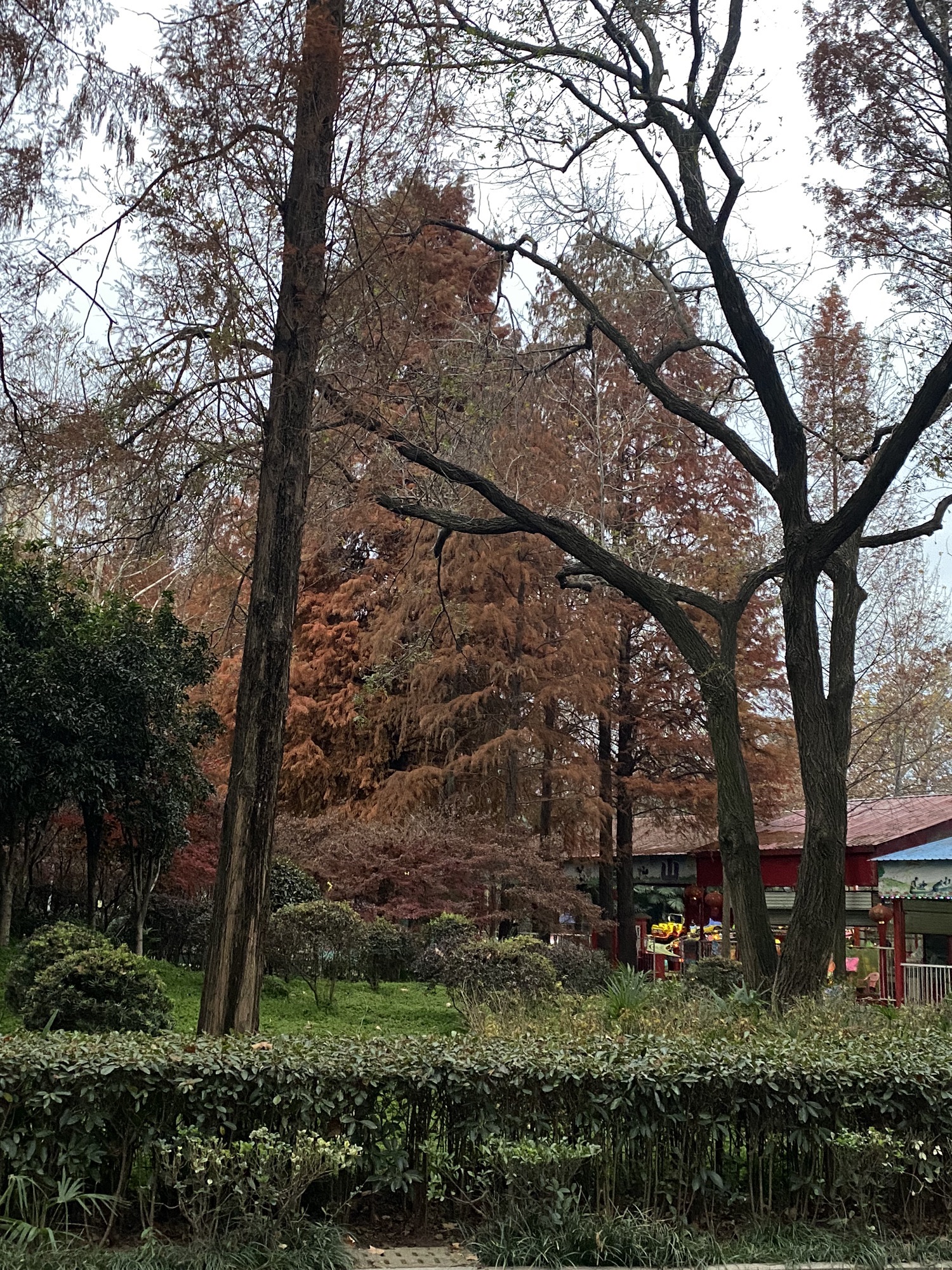 浉河公园旅行图片 3