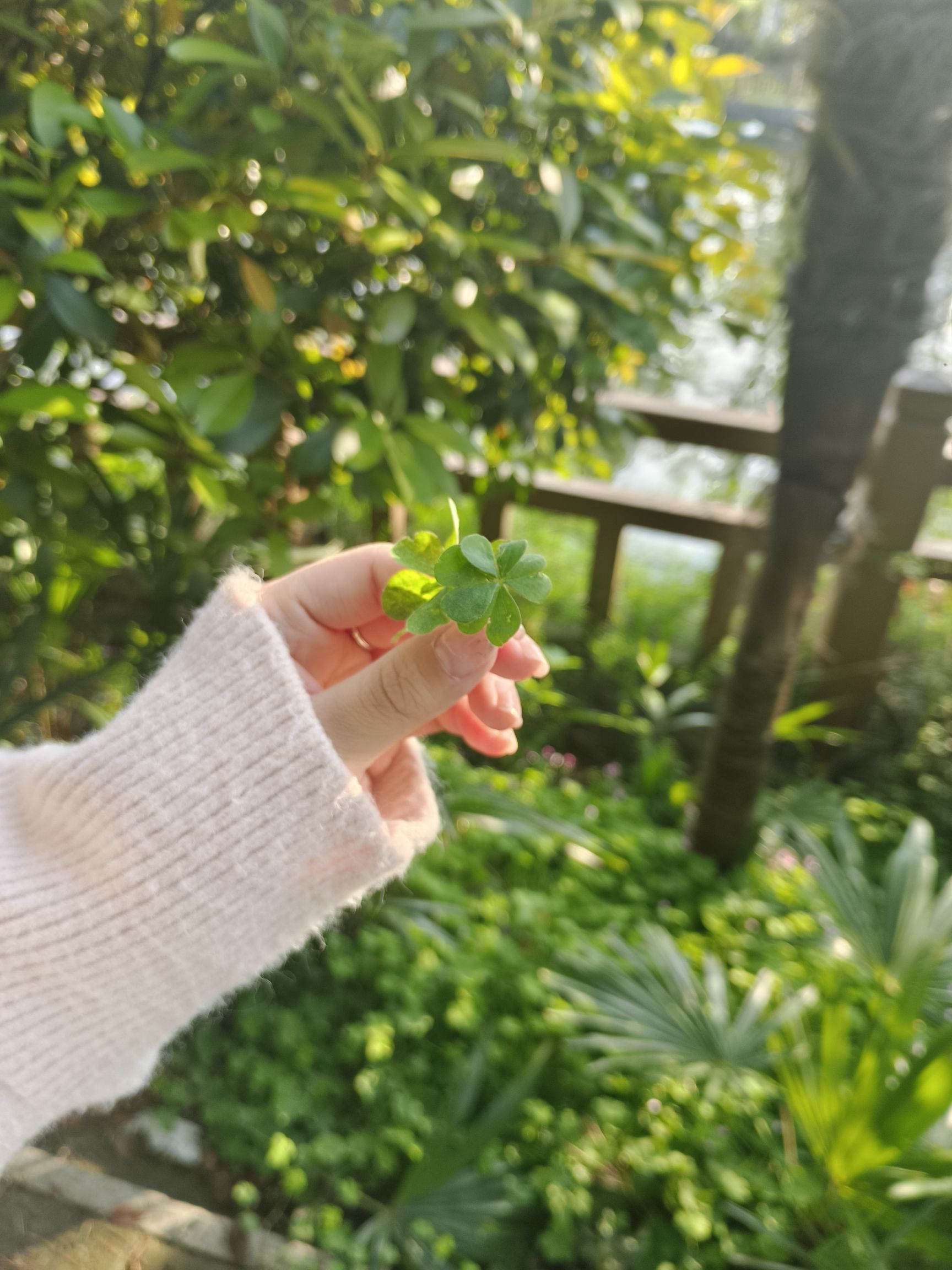 浉河公园旅行图片 1