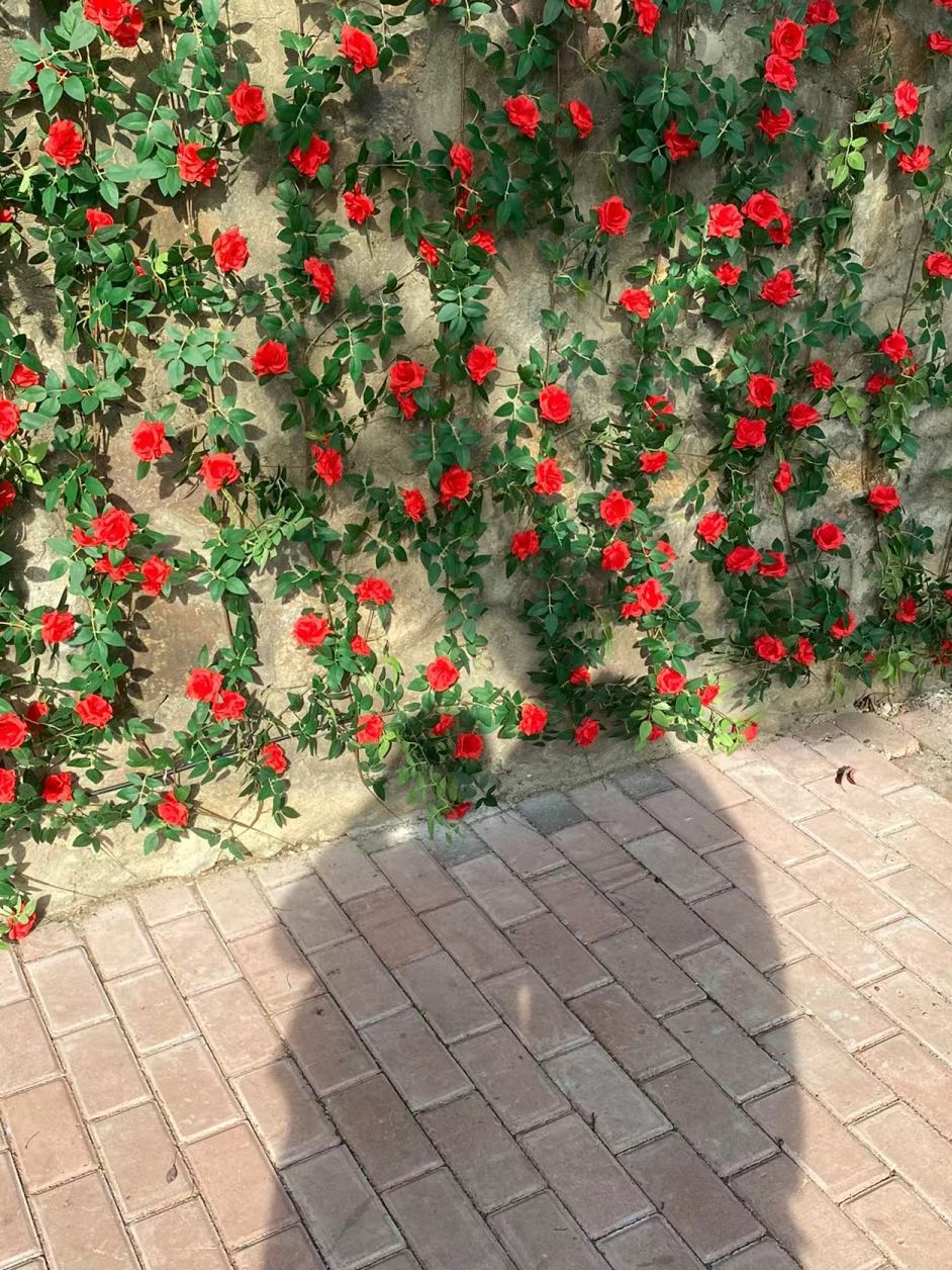 浉河公园旅行图片 3