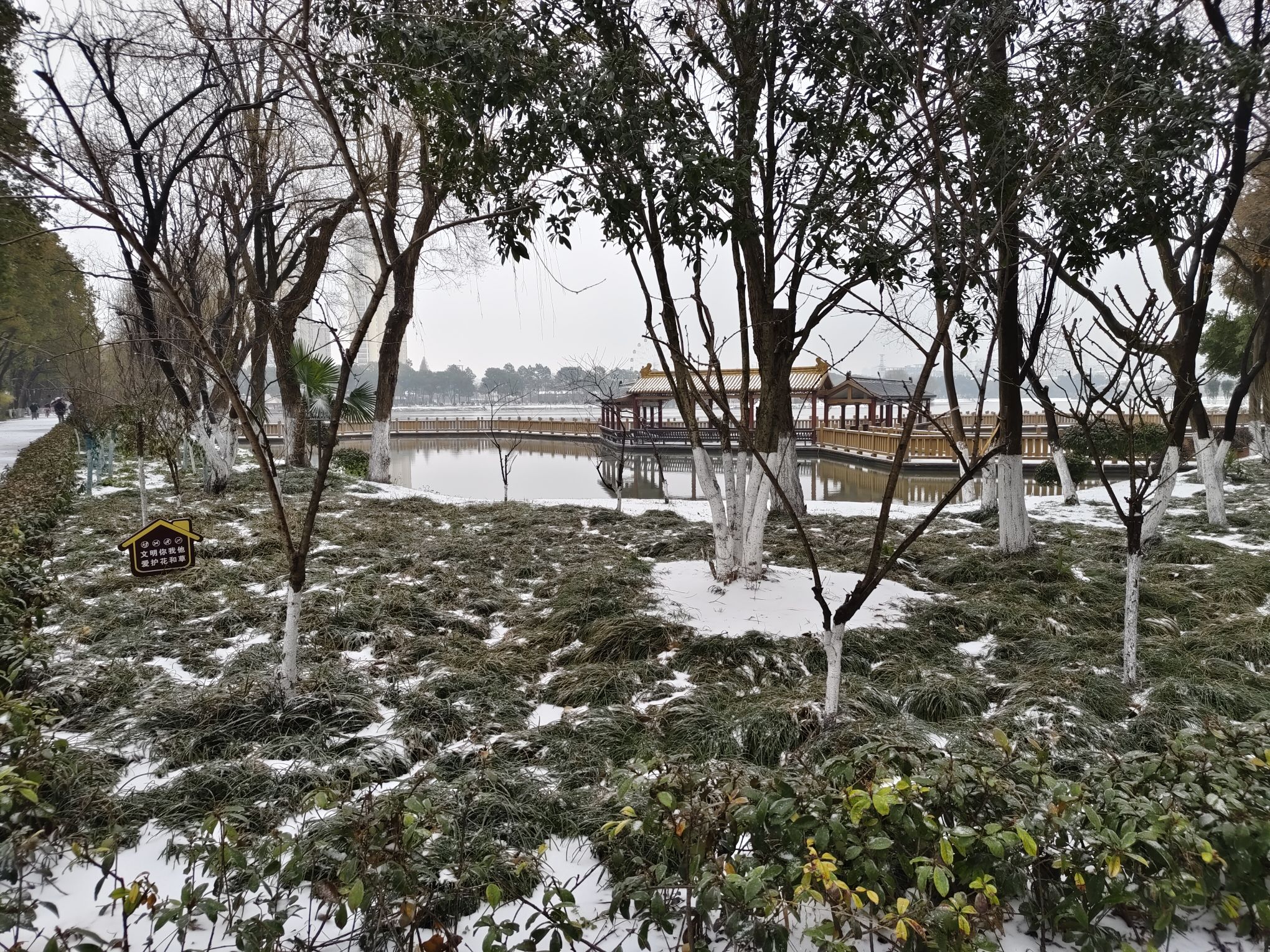 秀水公园旅行图片 3