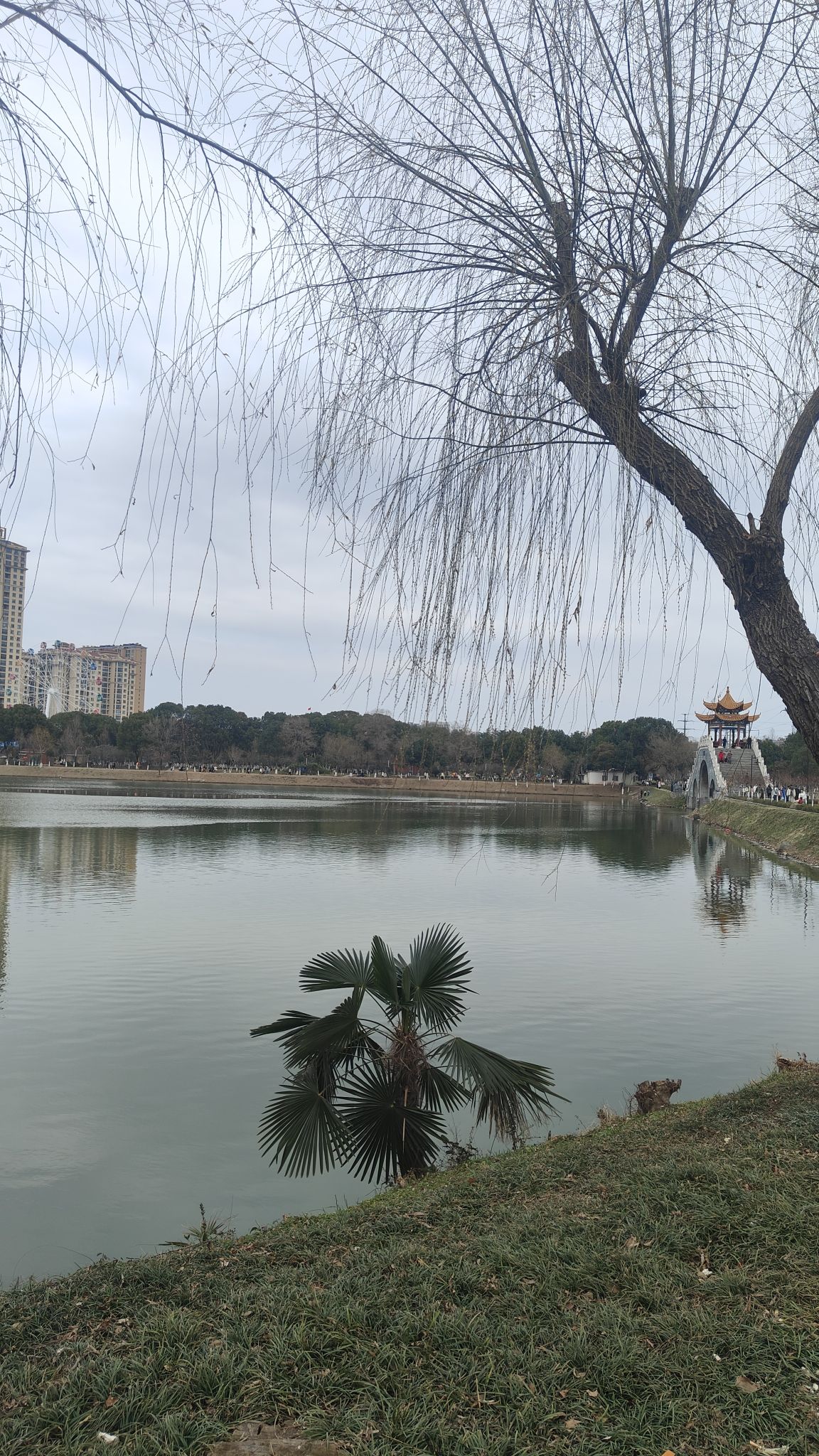 秀水公园旅行图片 3
