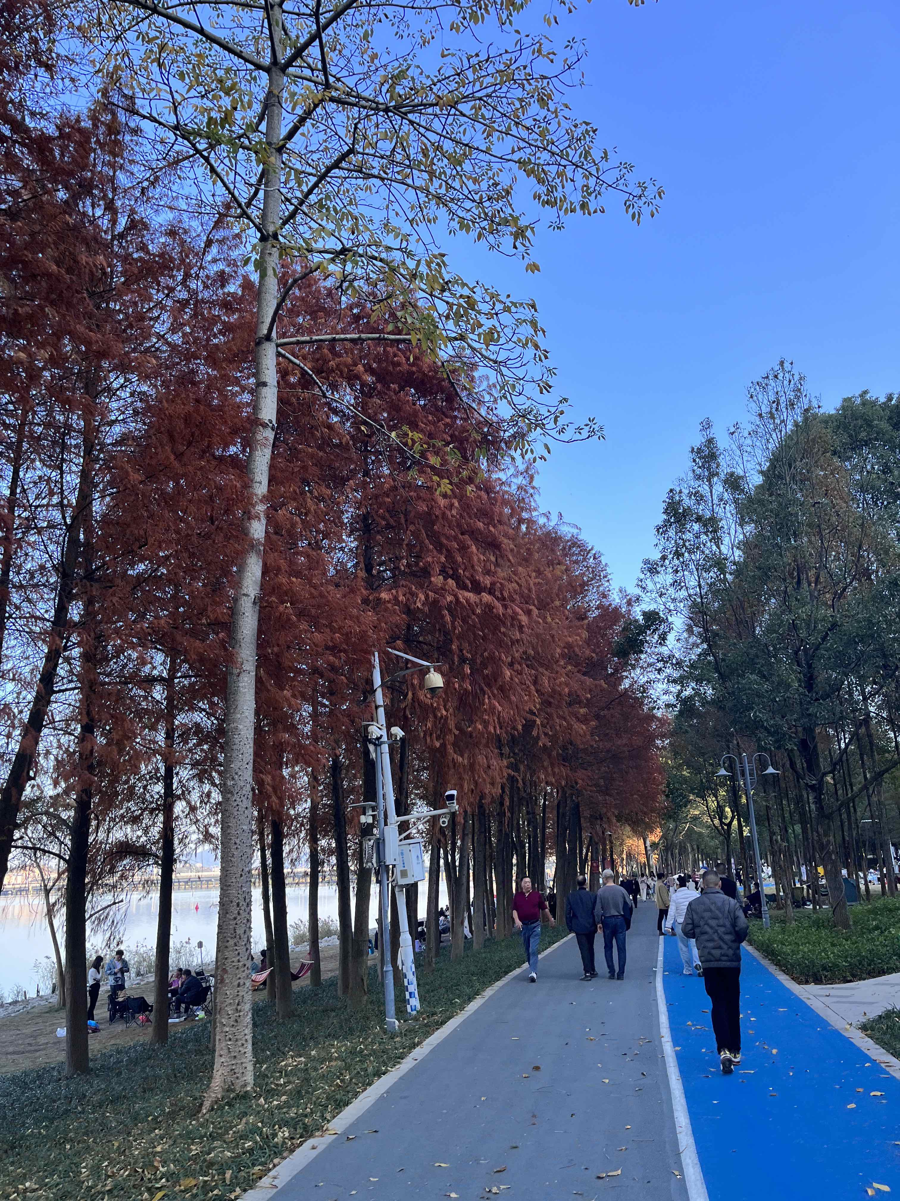 南湾湖风景旅游区旅行图片 2