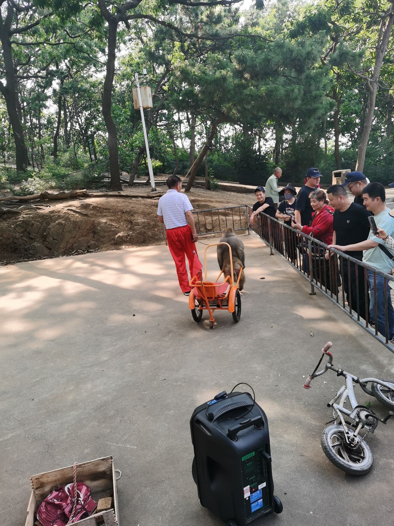 南湾湖风景旅游区旅行图片 2