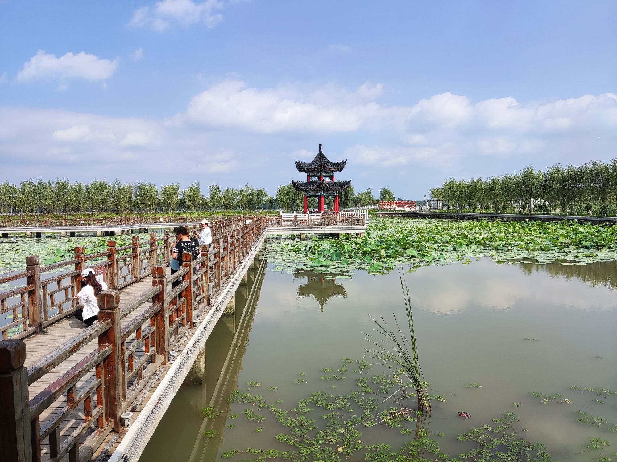 龙山湖国家湿地公园
