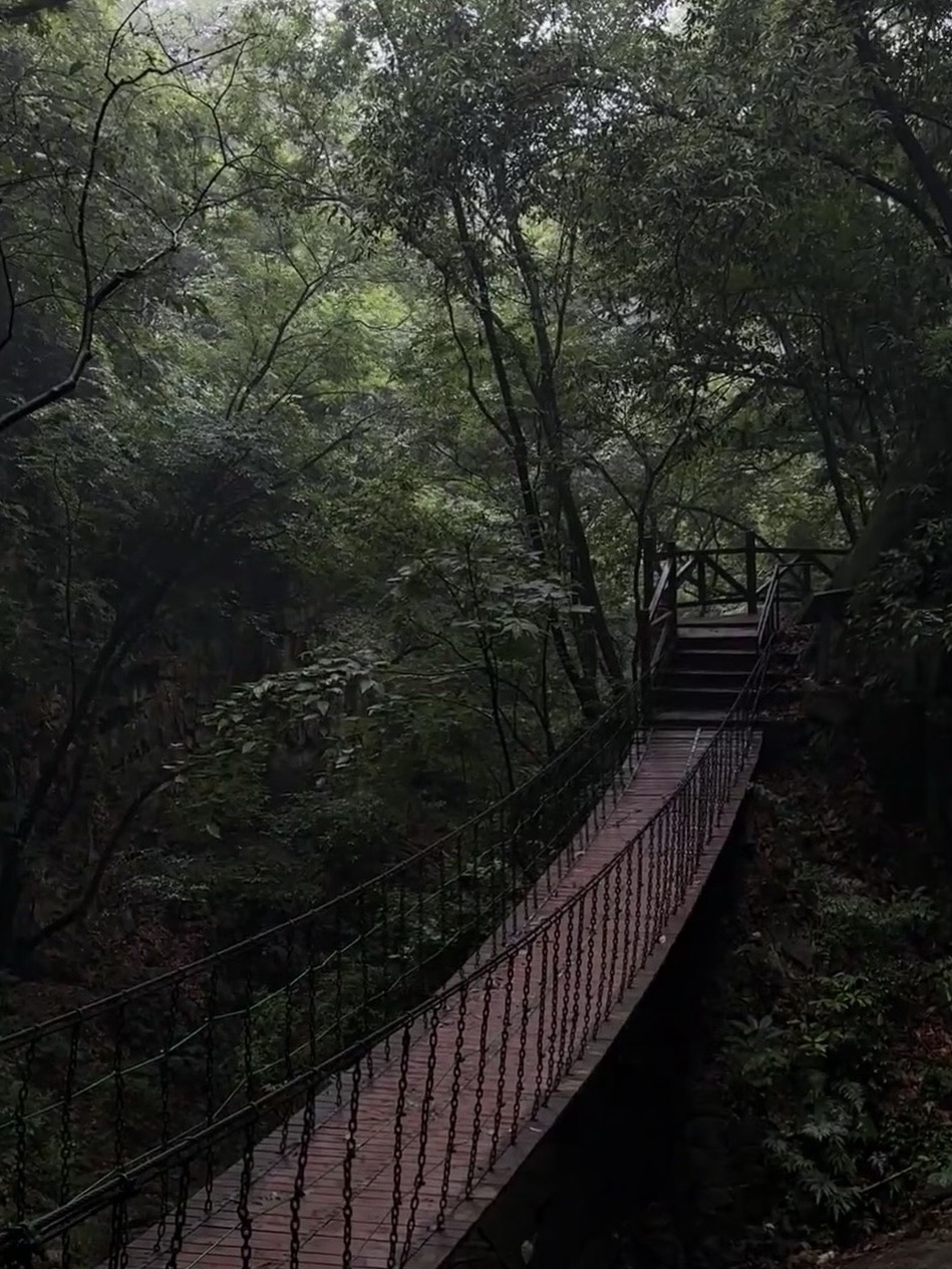 波尔登森林公园旅行图片 2