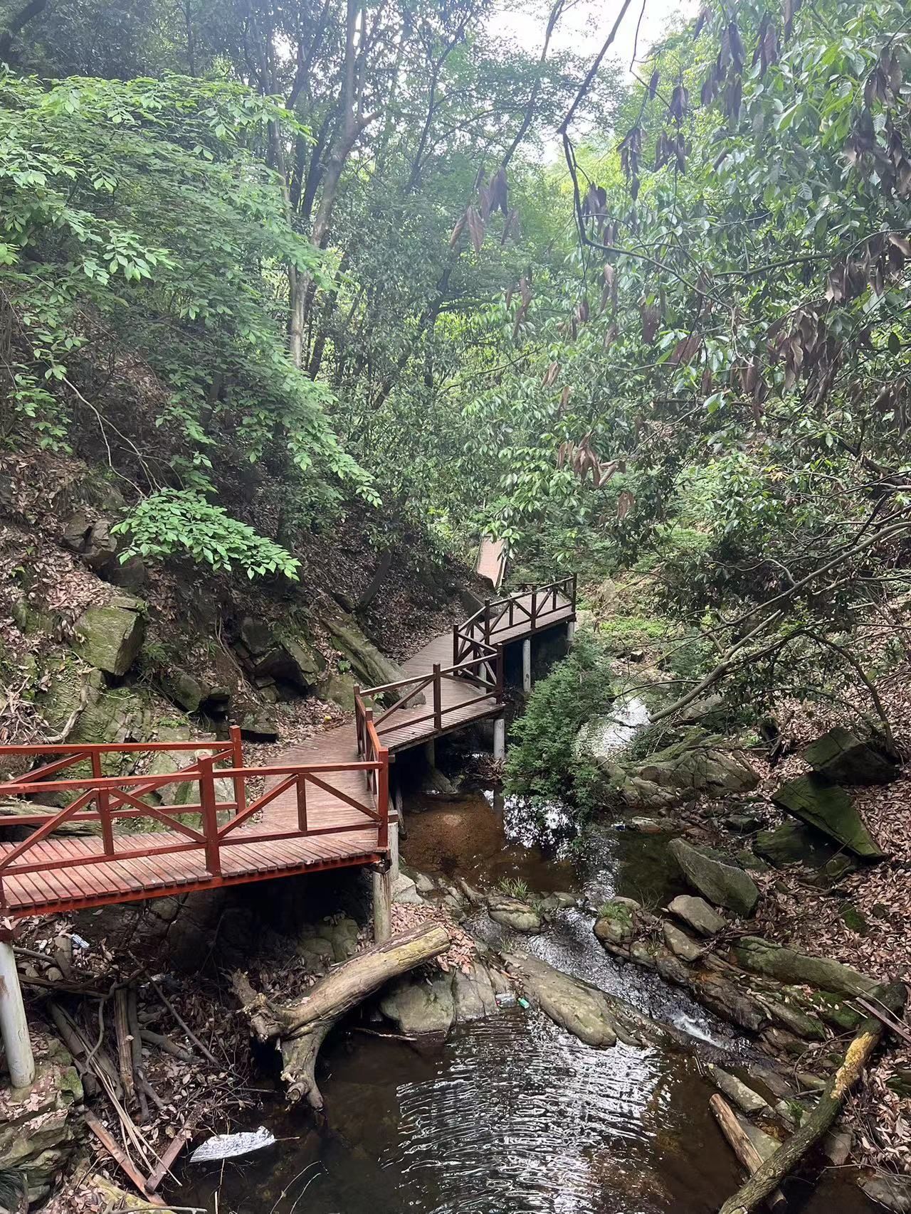 波尔登森林公园旅行图片 3