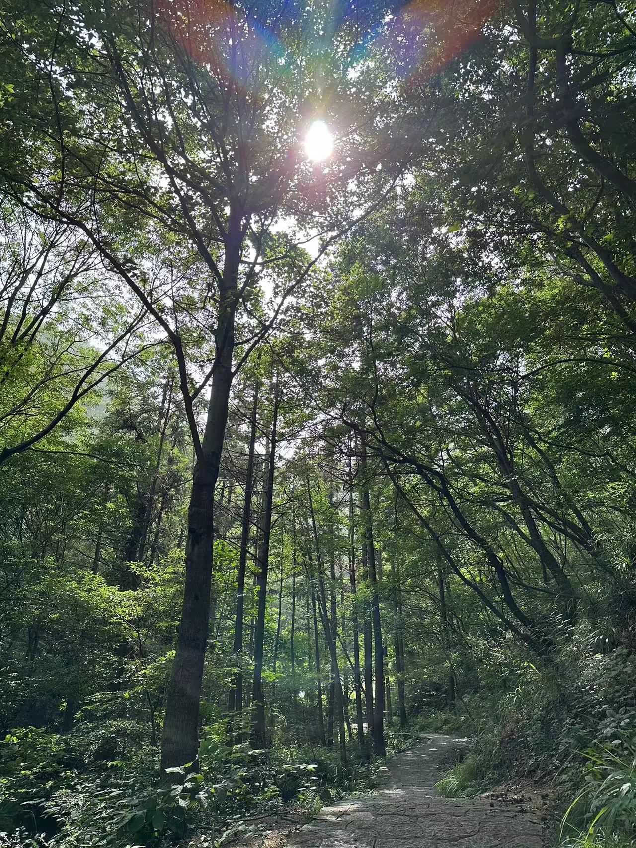 灵山旅行图片 3