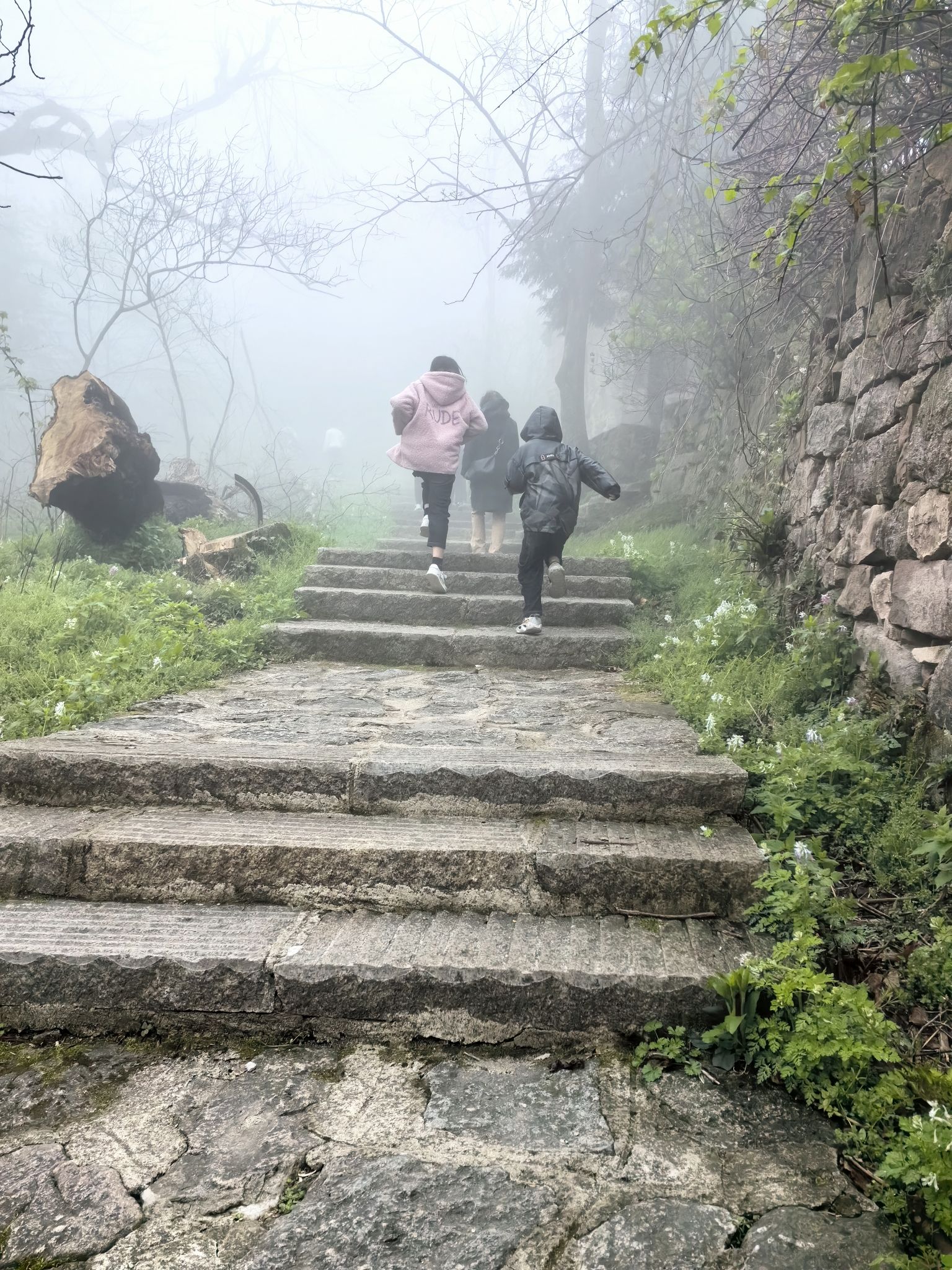 鸡公山风景区旅行图片 3