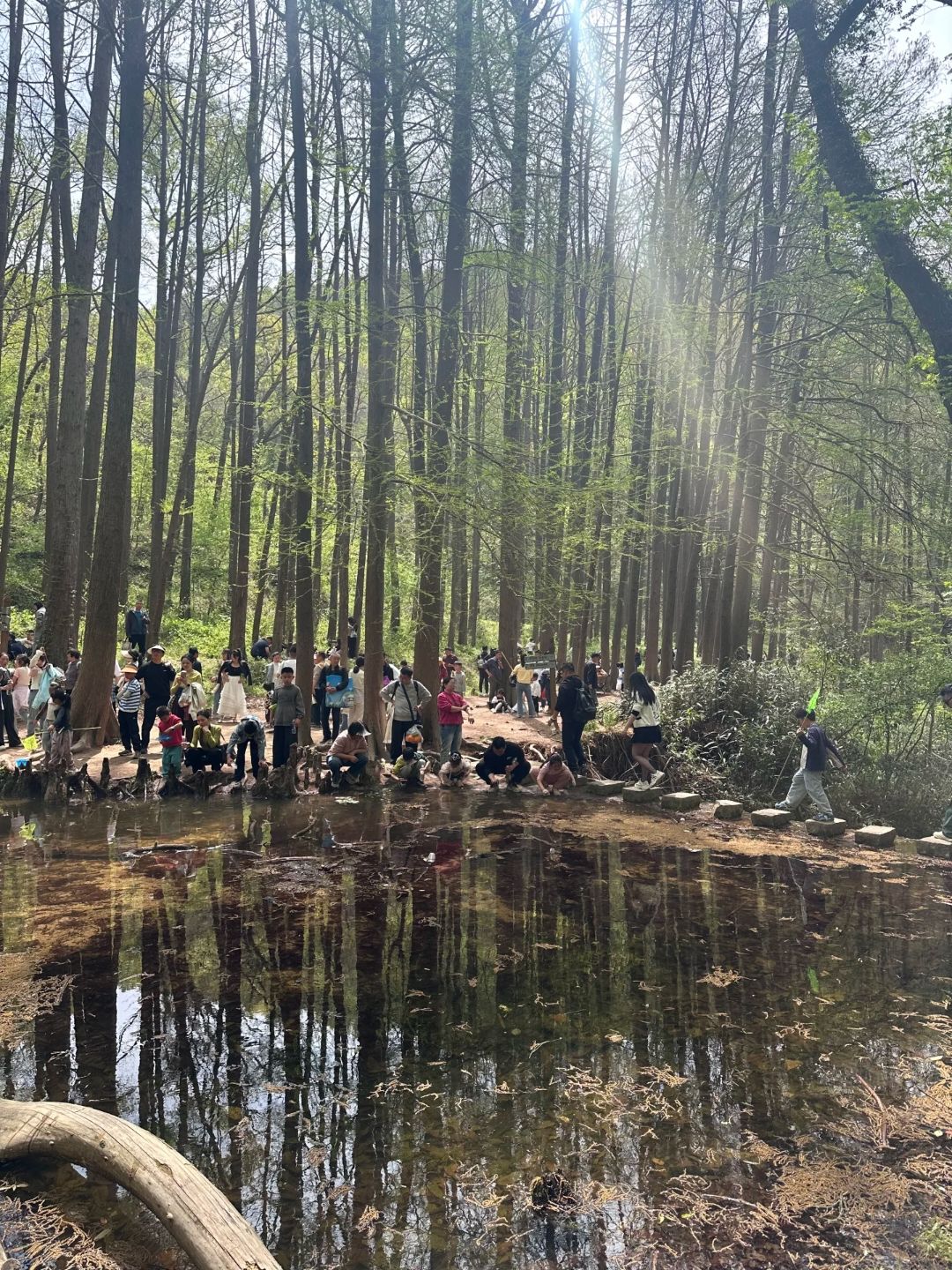 鸡公山风景区旅行图片 1