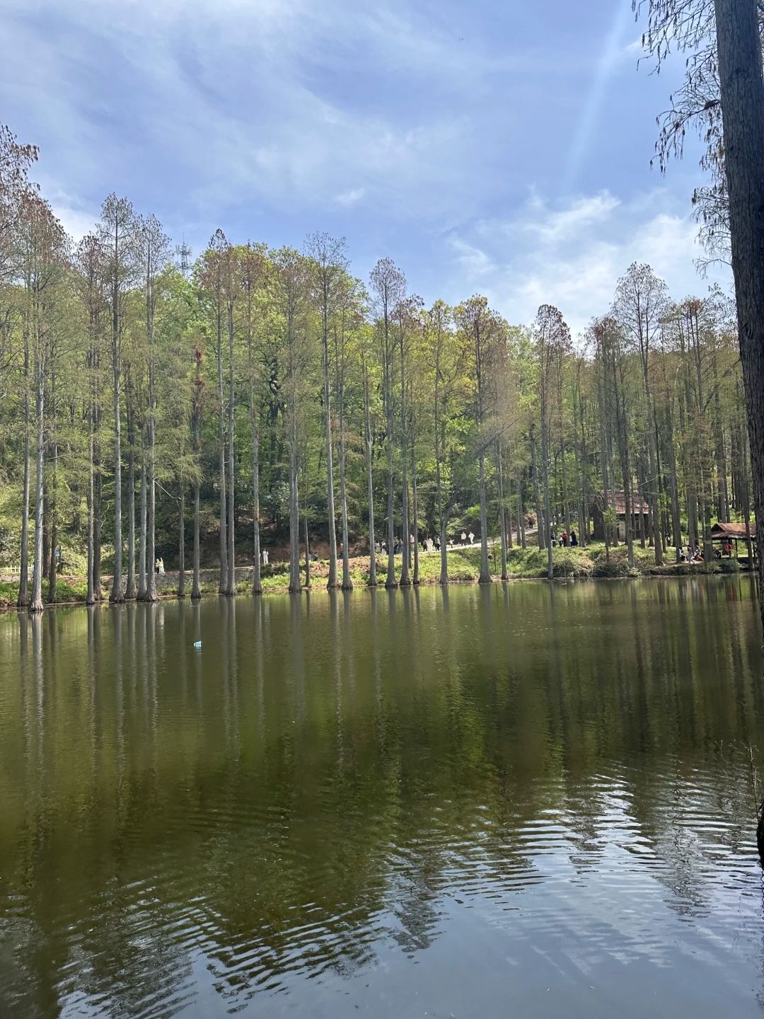 鸡公山风景区旅行图片 2