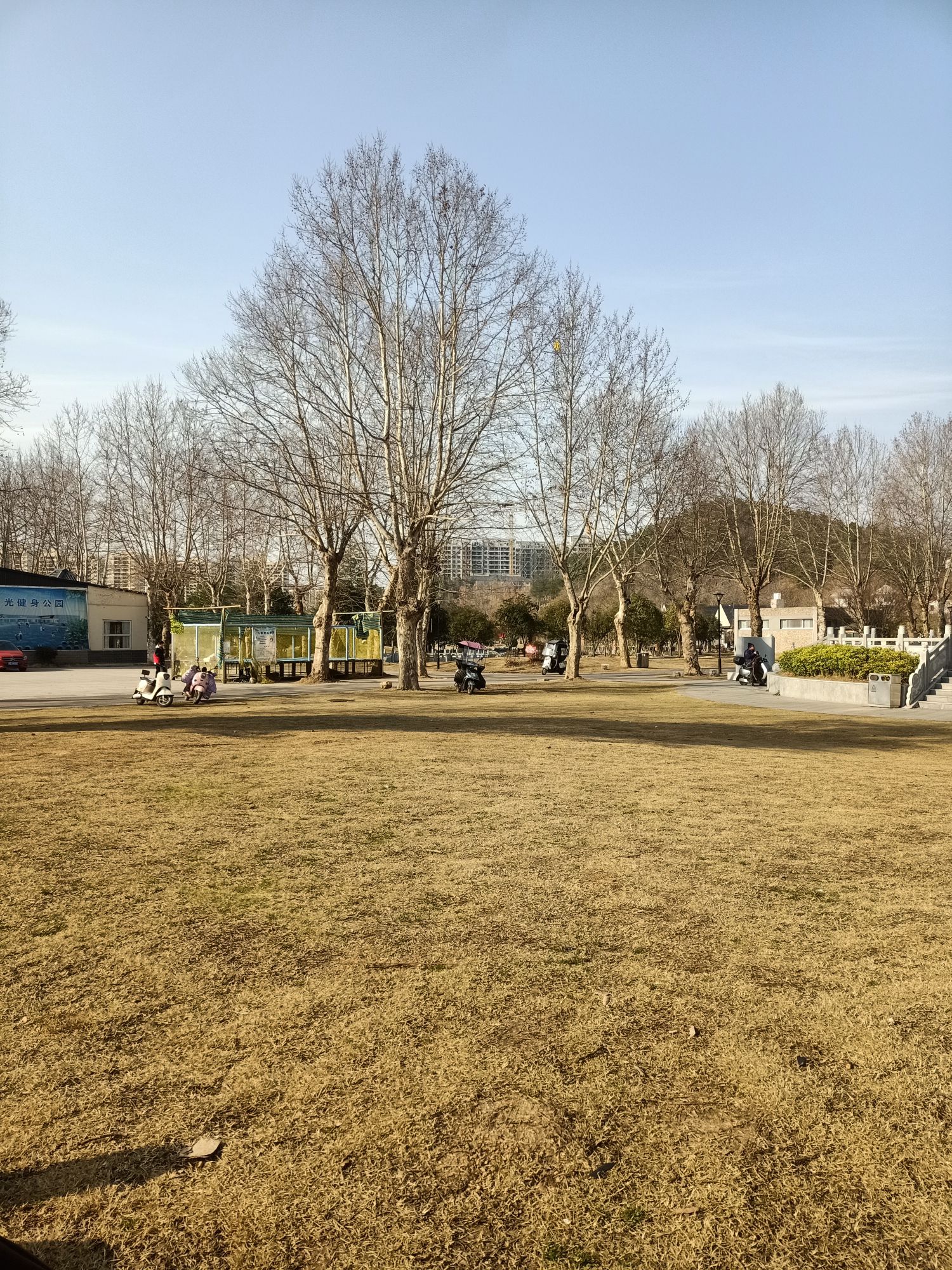 铁佛寺公园旅行图片
