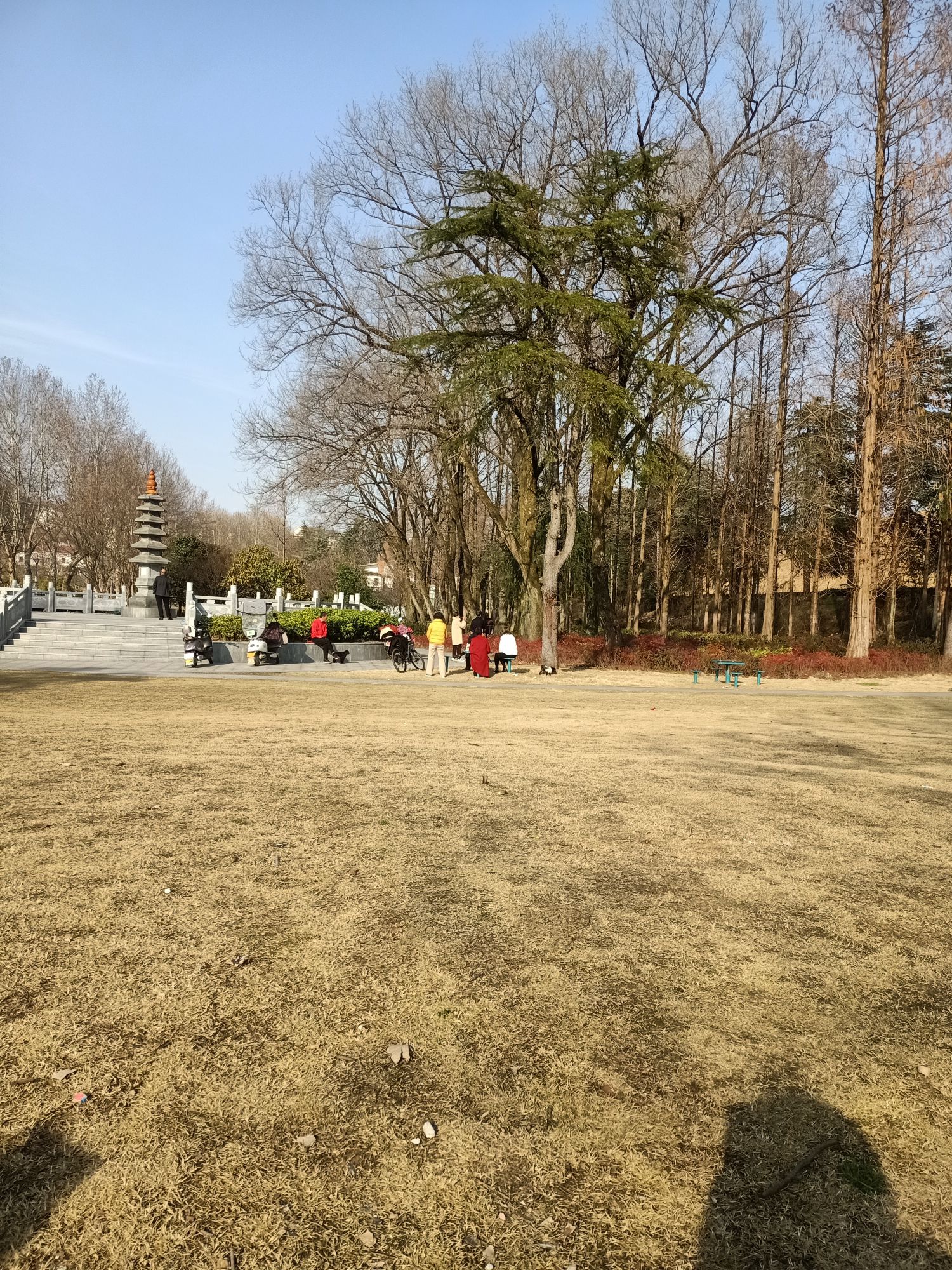 铁佛寺公园旅行图片 3