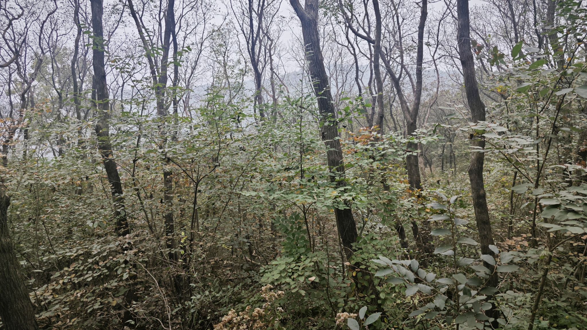 安山景区旅行图片 2