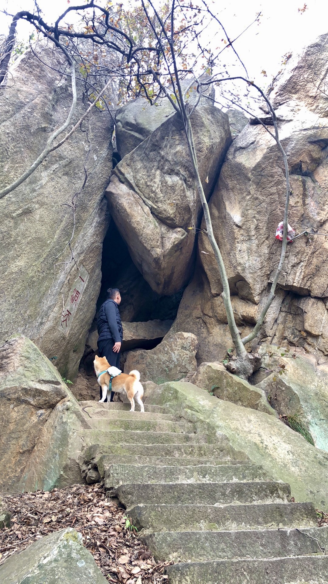 观阵山旅行图片 1