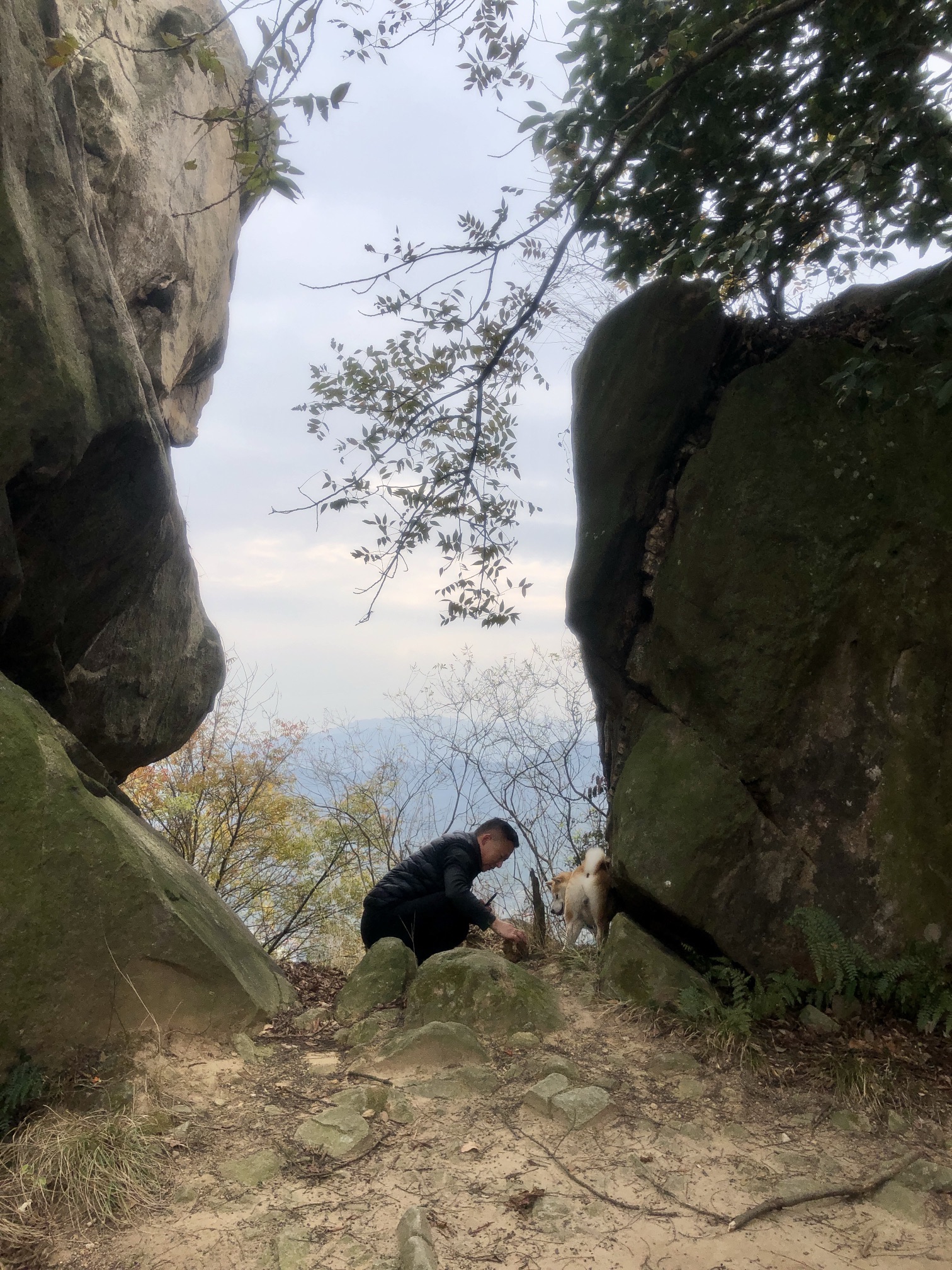 观阵山旅行图片 2