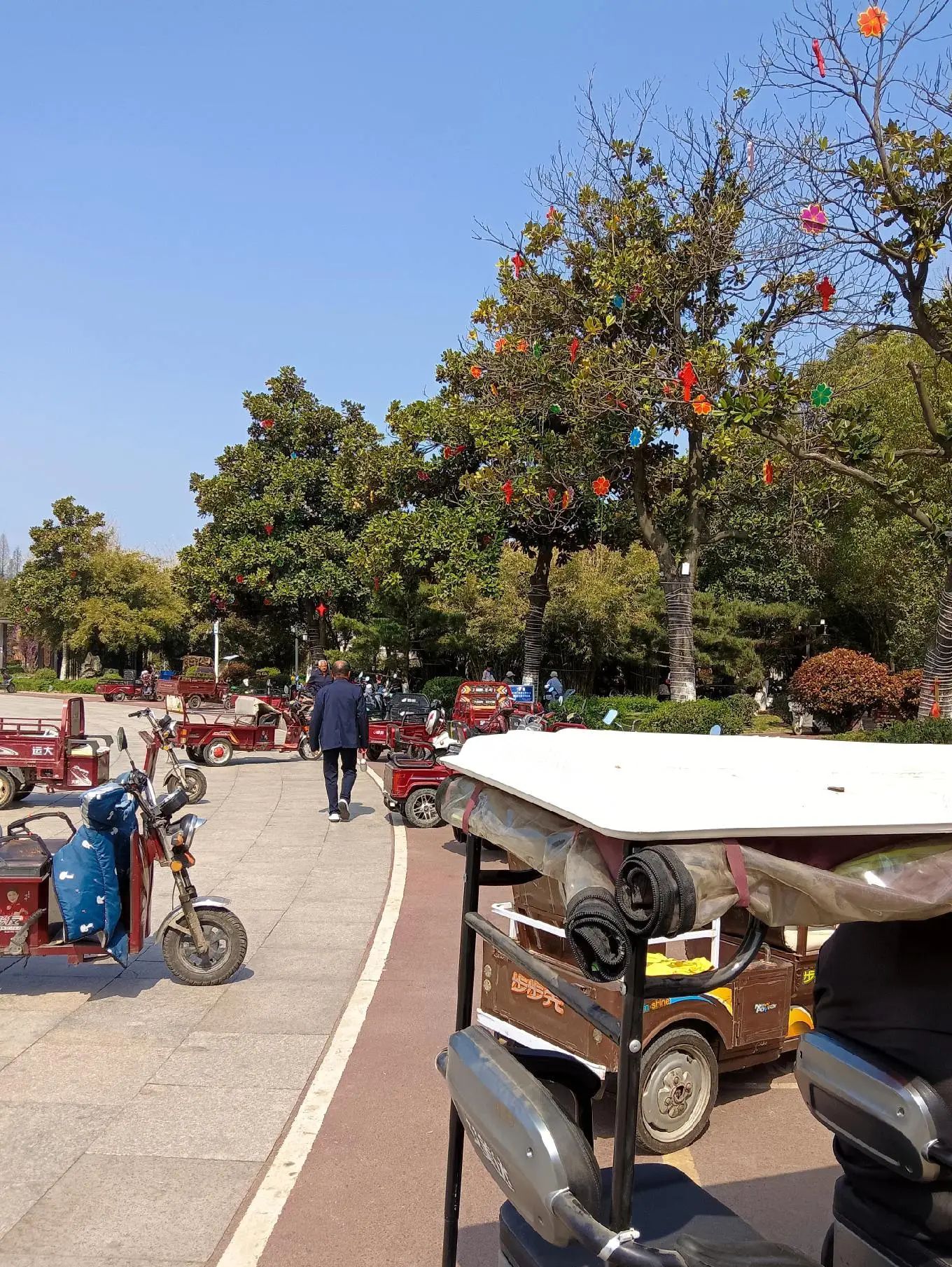 宝城广场旅行图片 3