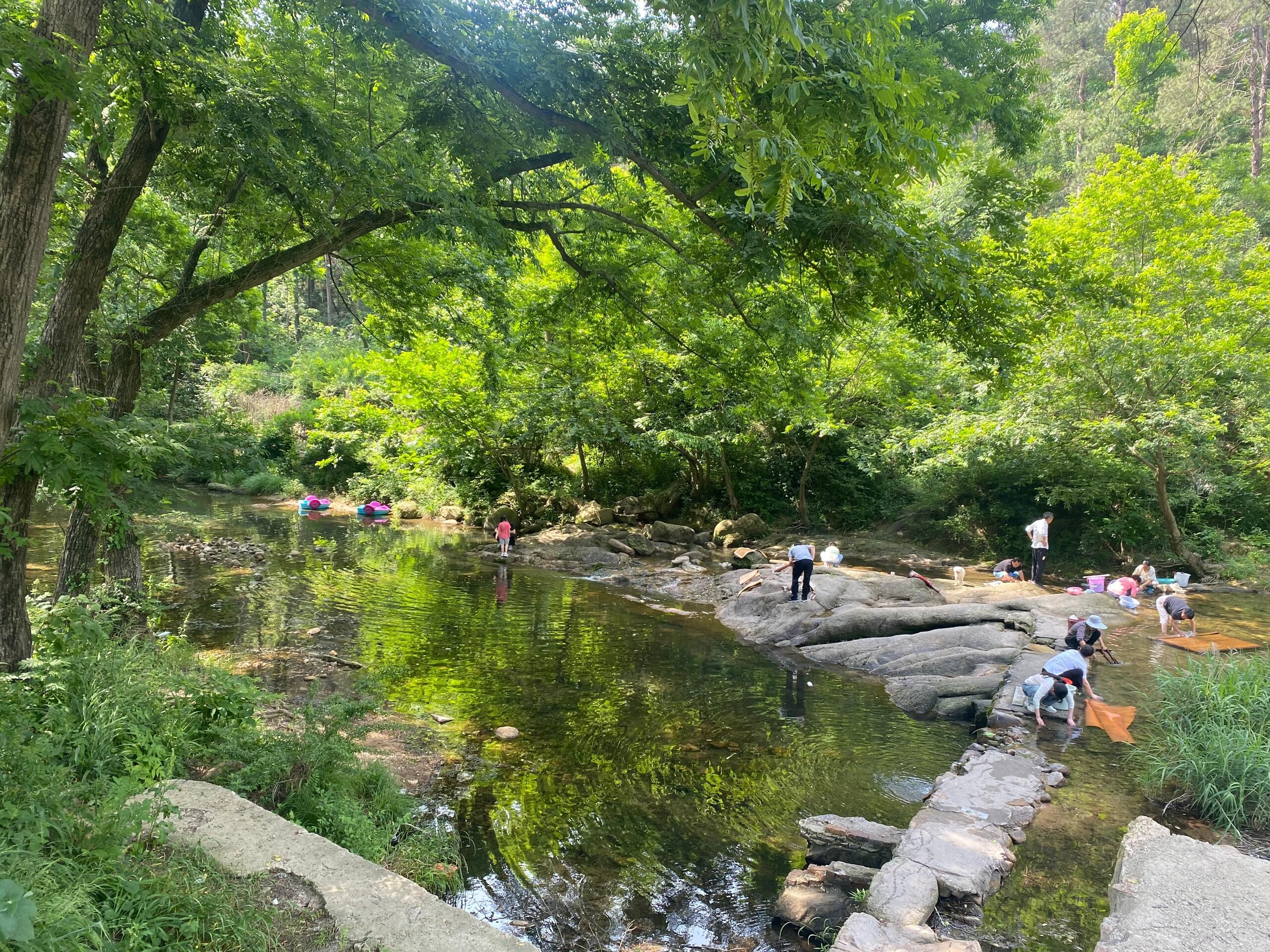 金兰山国家森林公园旅行图片 3
