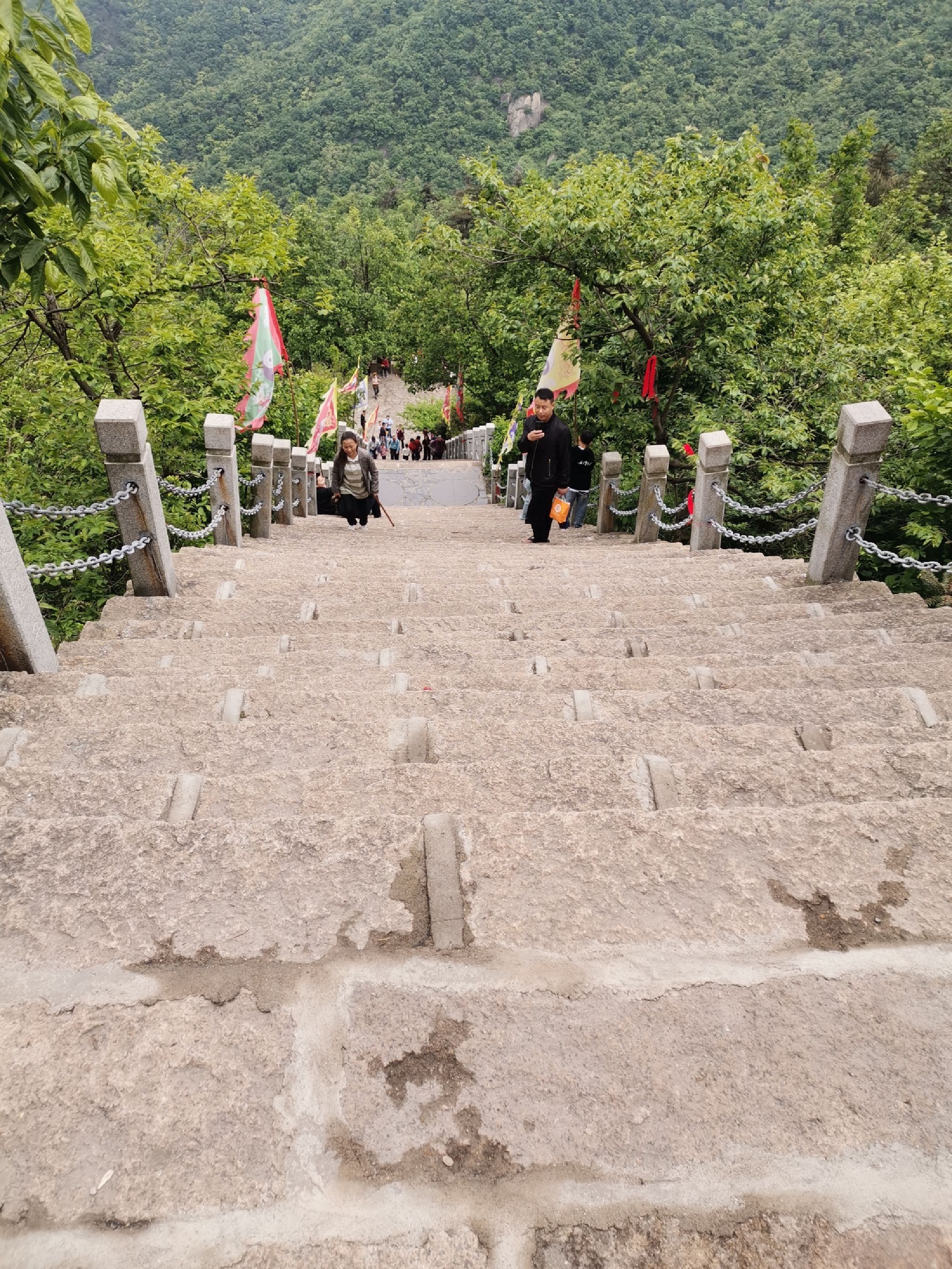 金兰山国家森林公园旅行图片 1