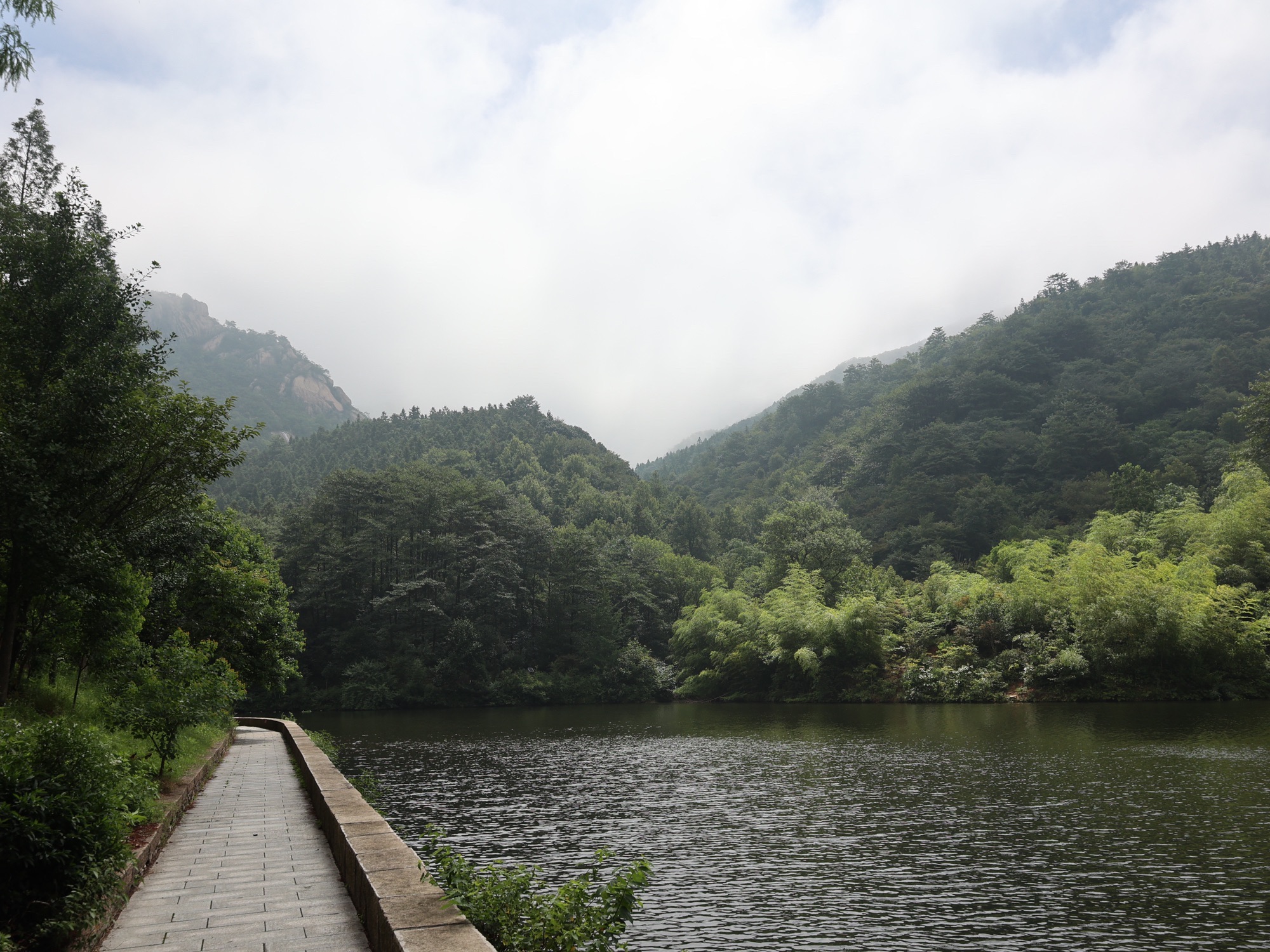 金兰山国家森林公园旅行图片 3
