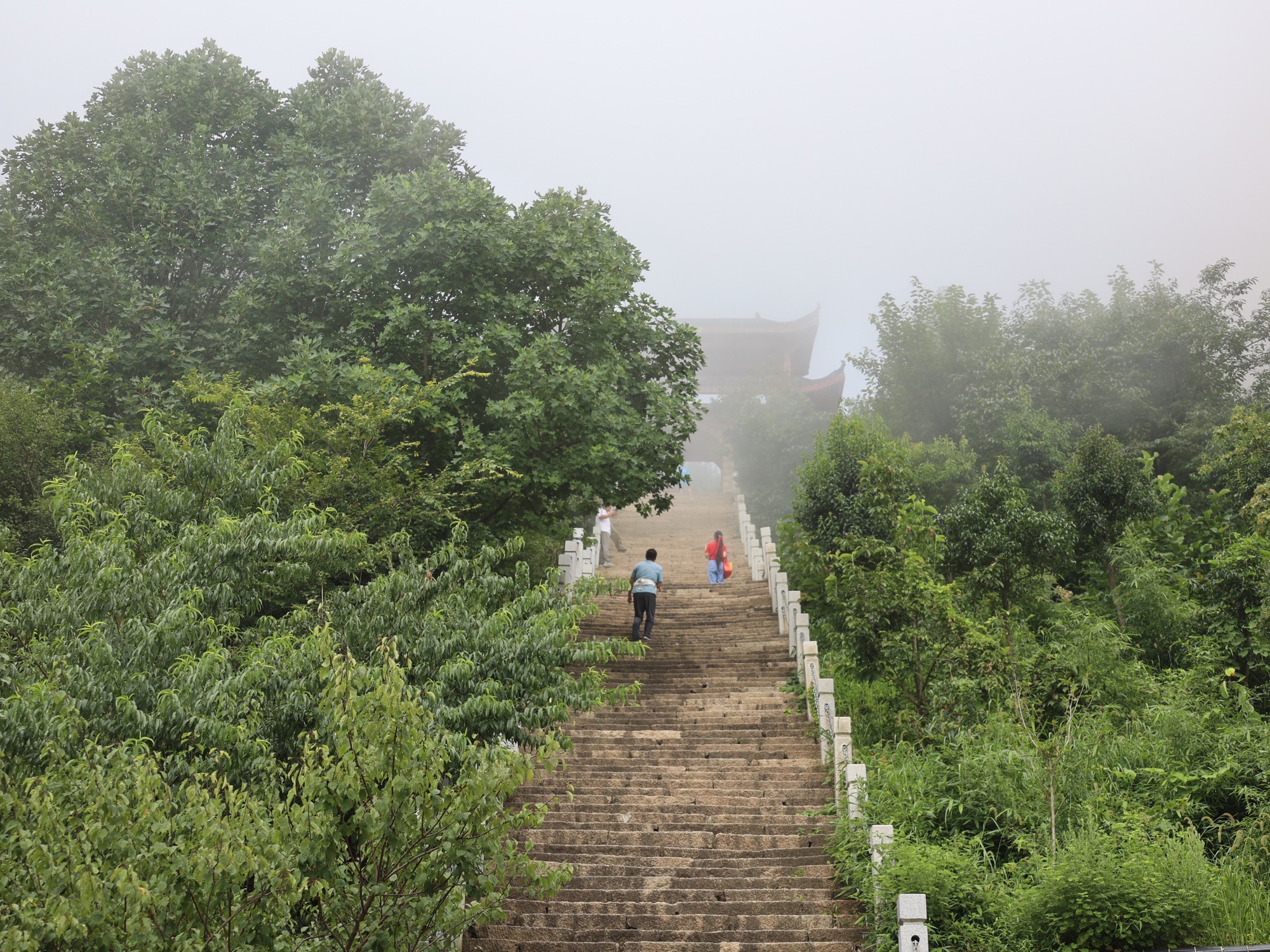 金兰山国家森林公园旅行图片 1